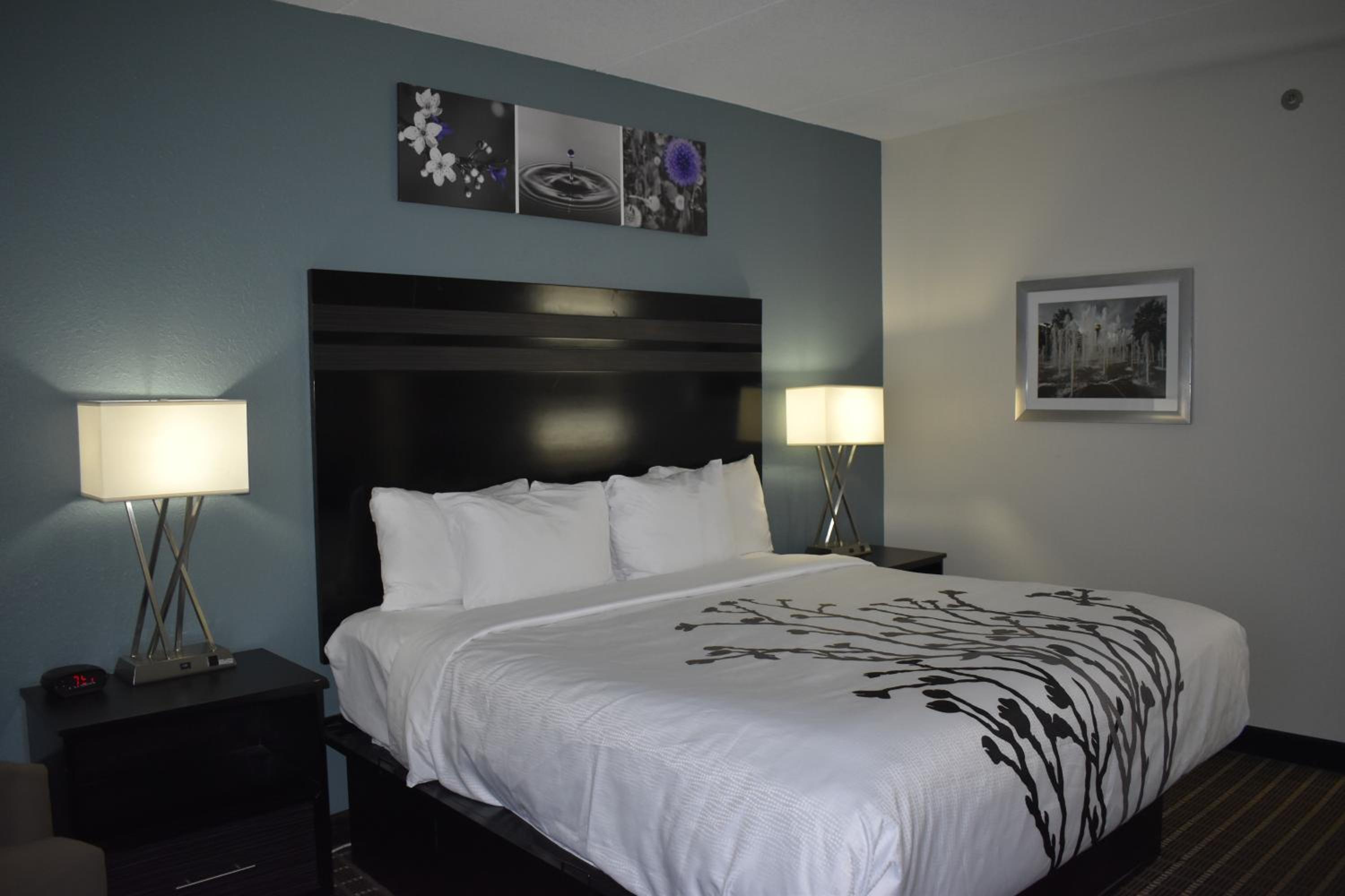 King Room - Non-Smoking - Photo 21