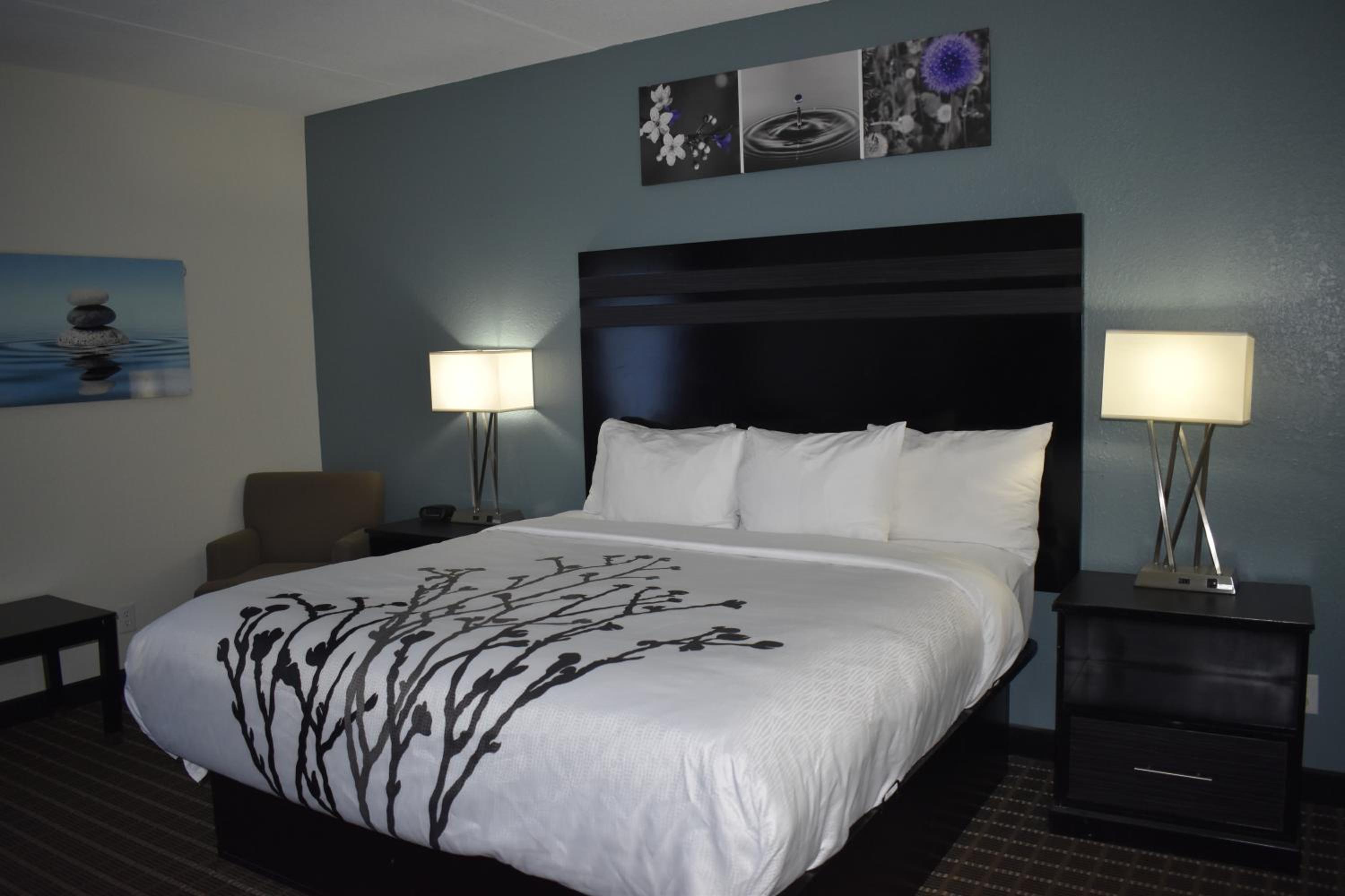 King Room - Non-Smoking - Photo 19