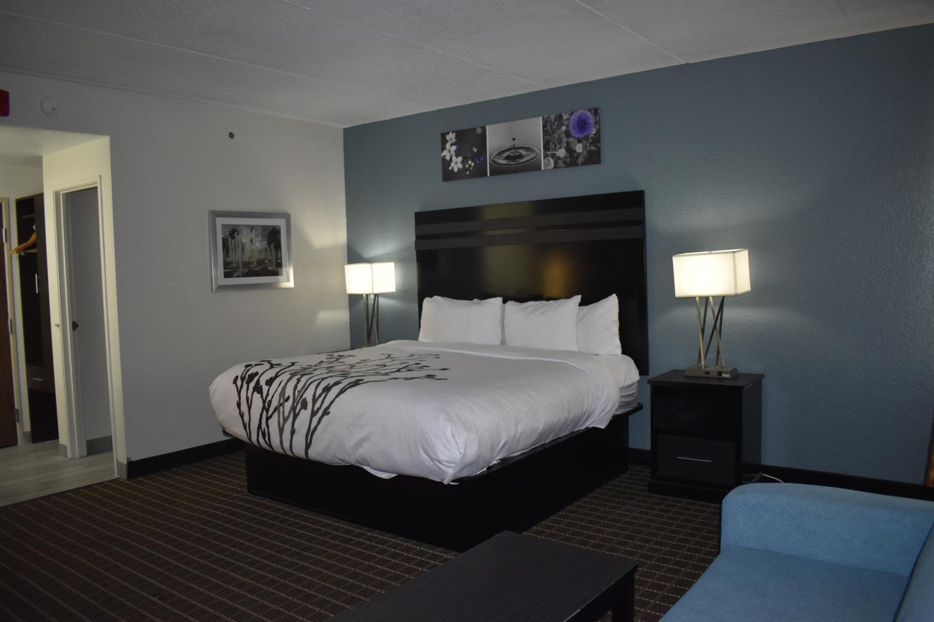 King Suite - Non-Smoking - Photo 24
