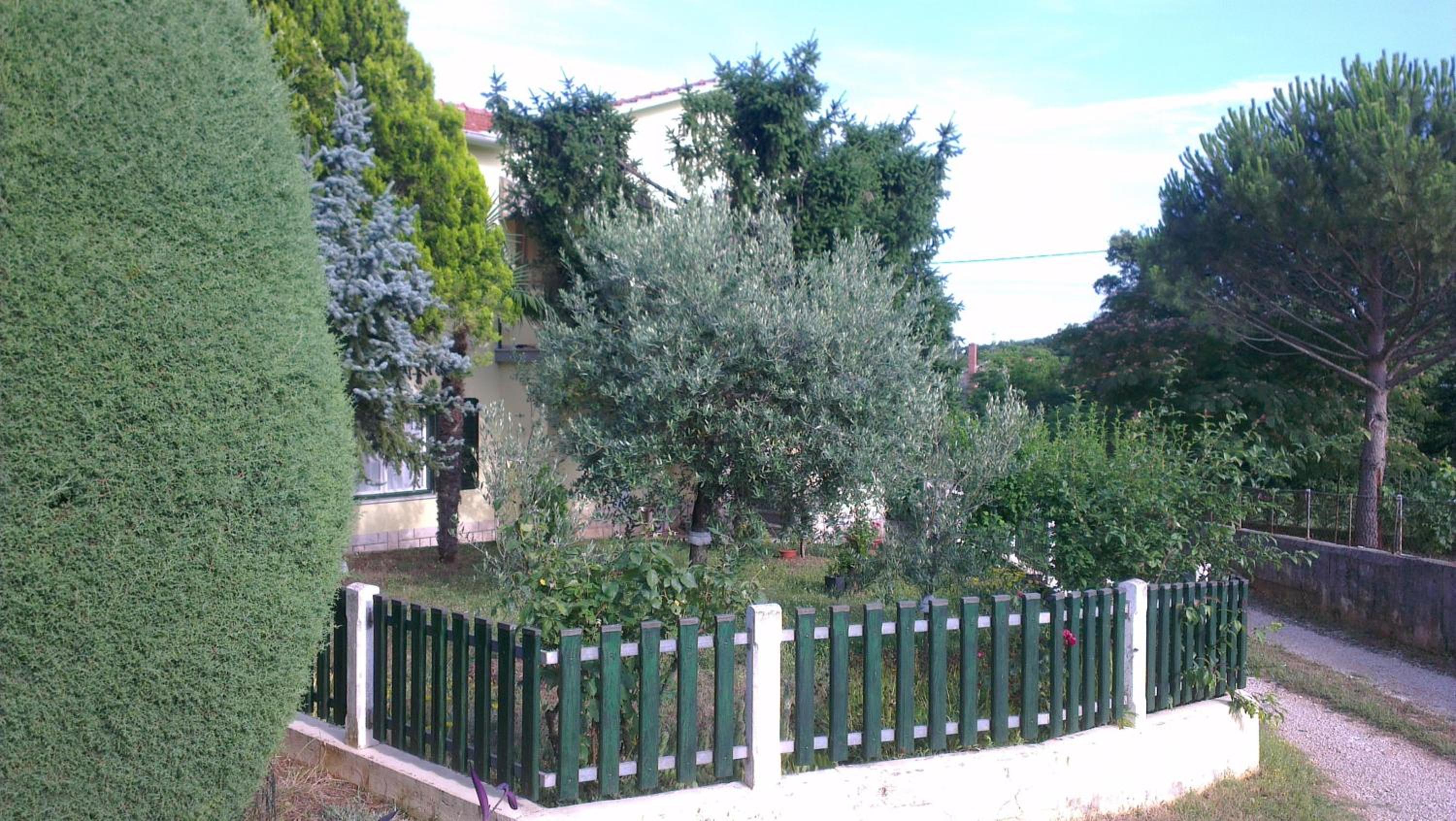 Apartment with Terrace photo 2