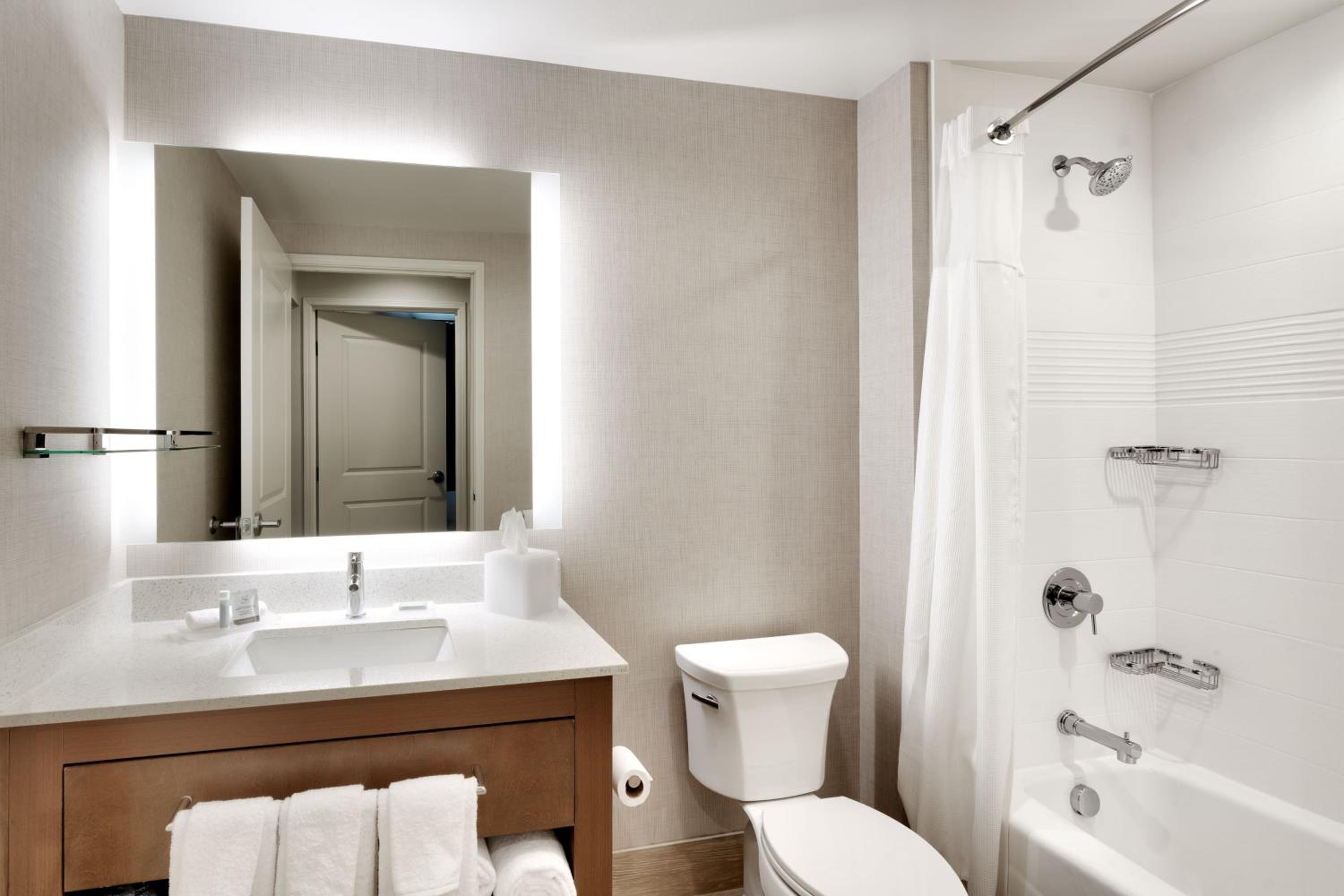 One-Bedroom Queen Suite with Sofa Bed  - Photo 3