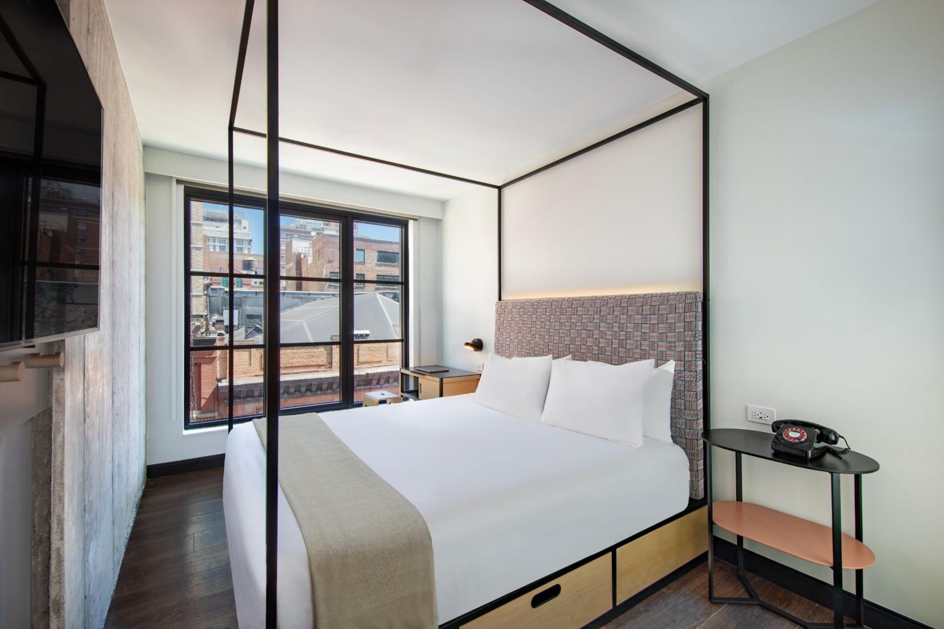 King Room photo 1