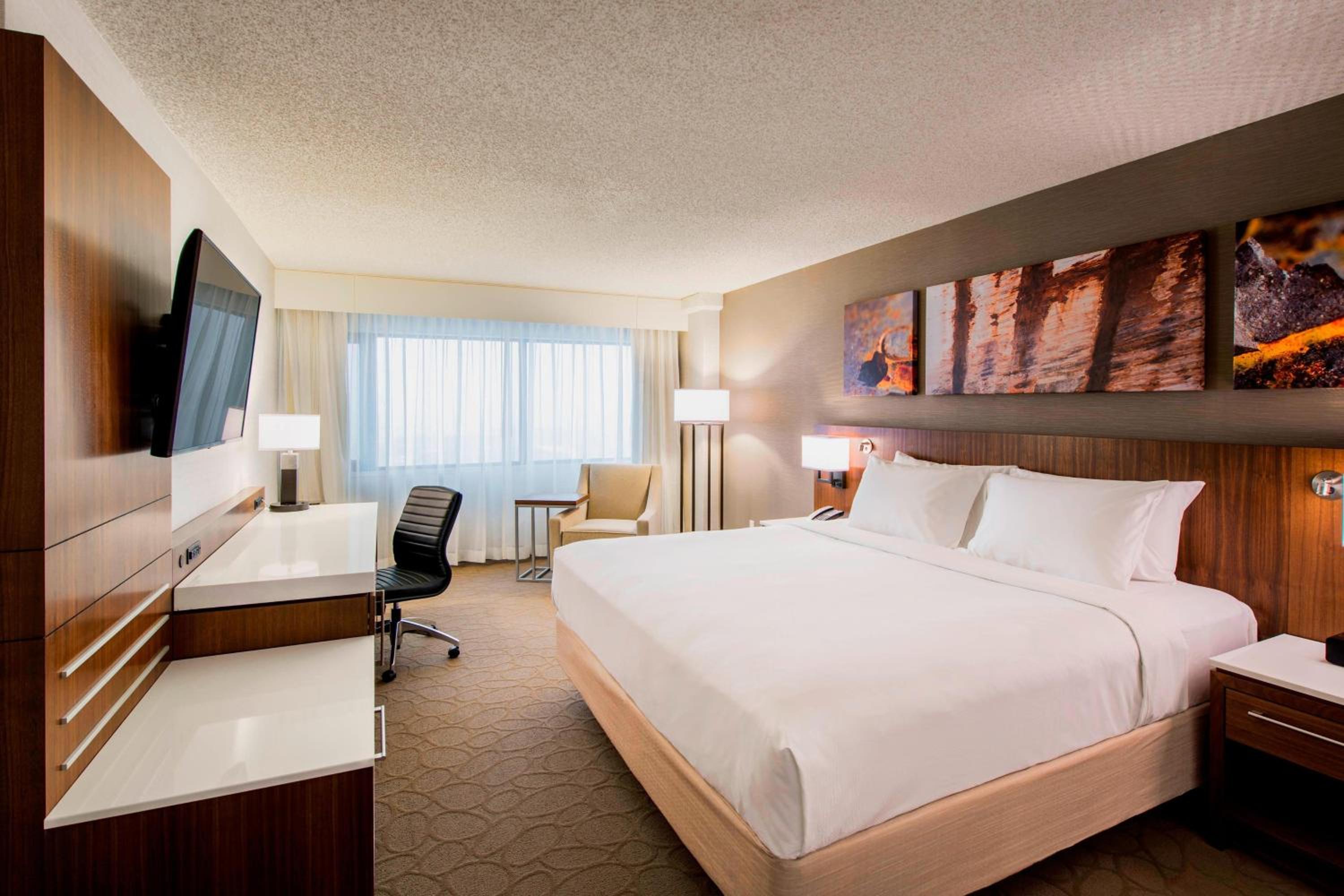 Deluxe King Room photo 2