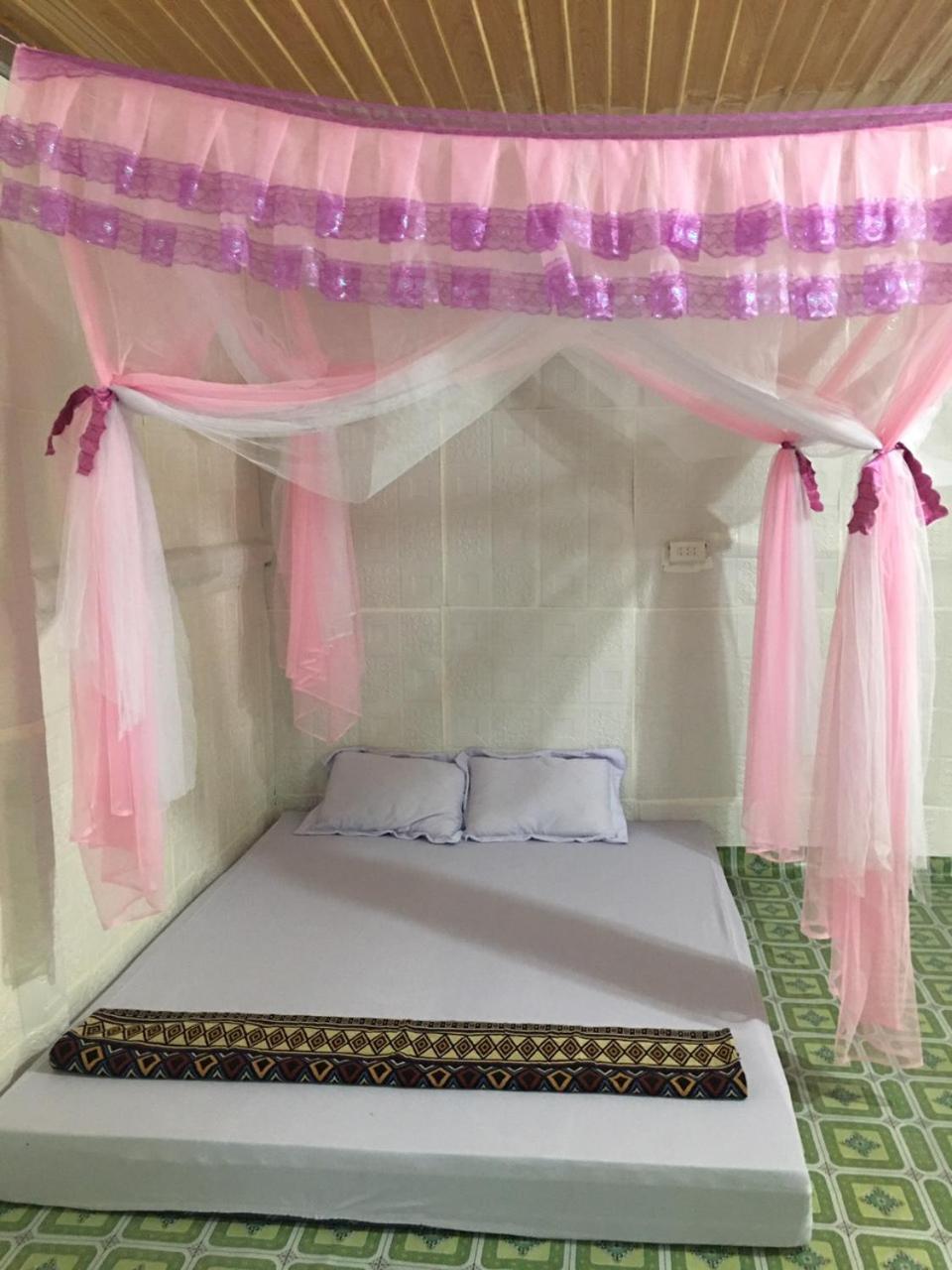 Single Bed in 6-Bed Dormitory Room photo 1
