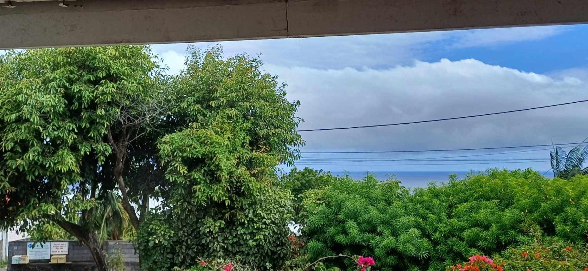 Apartment with Sea View photo 3