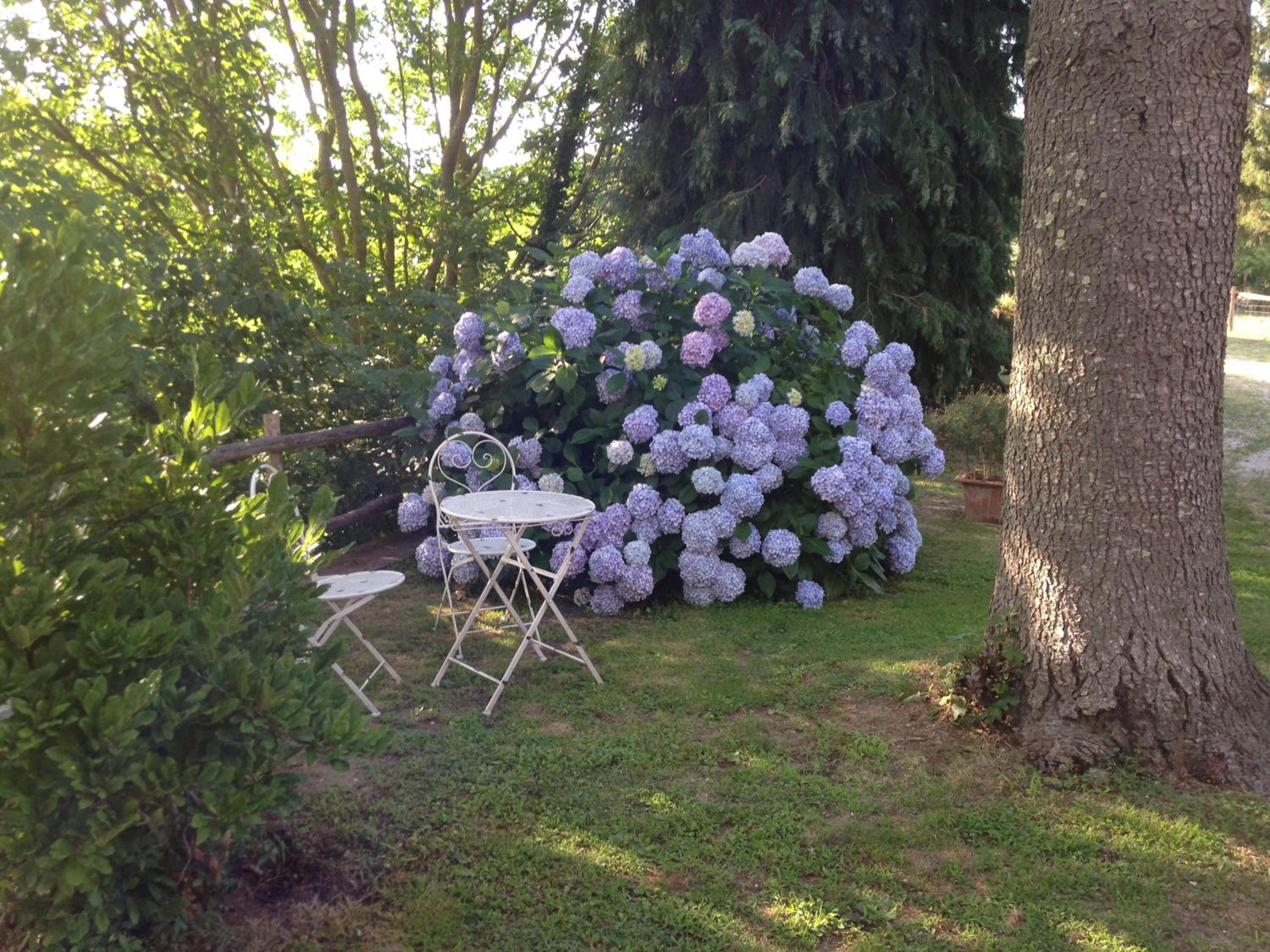 Villa photo 2