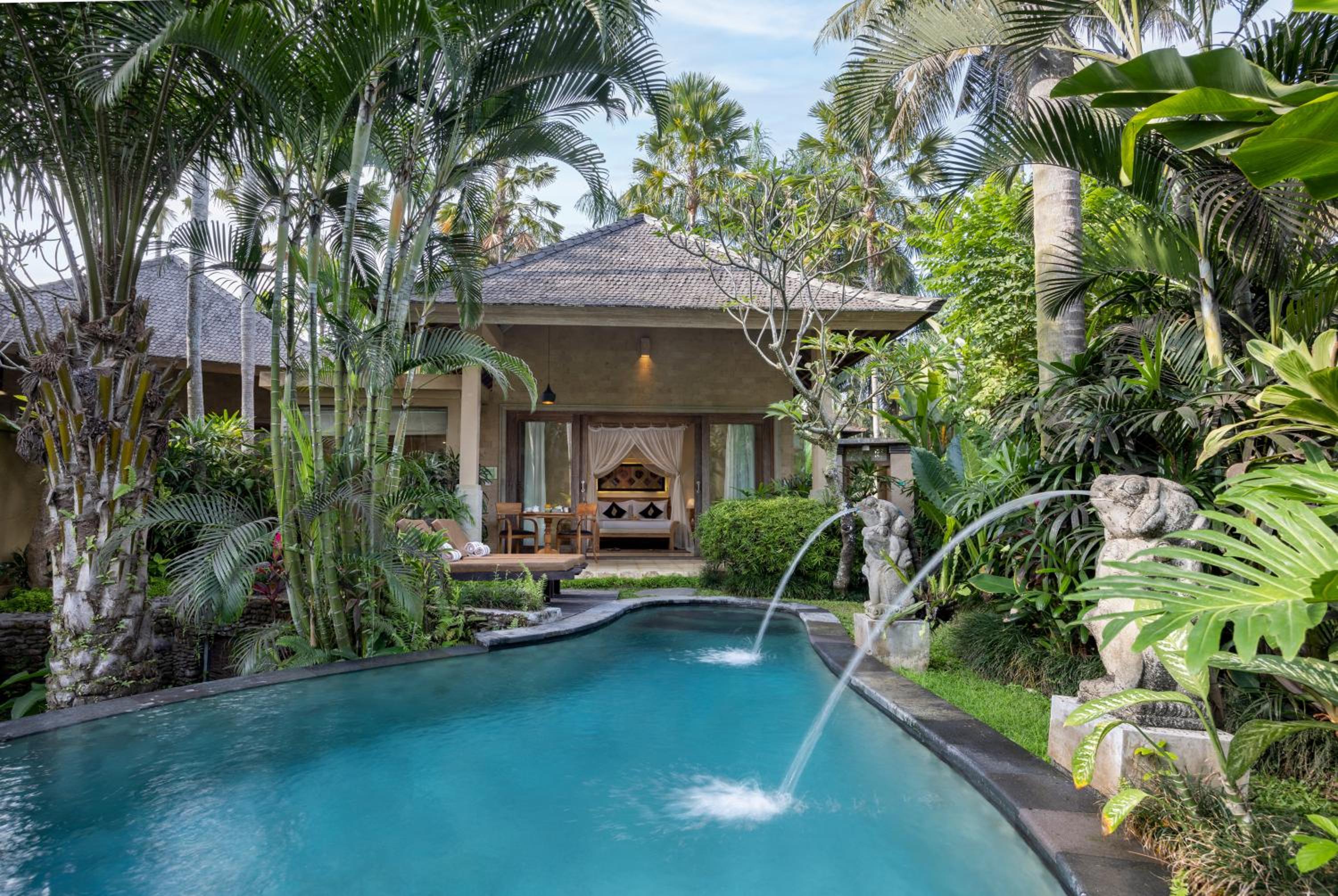 Deluxe Villa With Pool photo 2