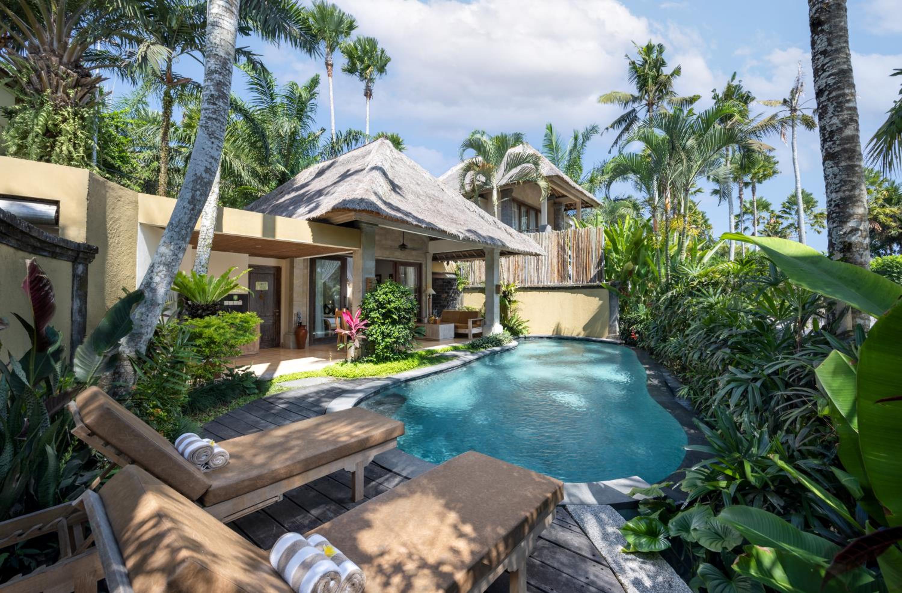 One-Bedroom Villa with Private Pool photo 2