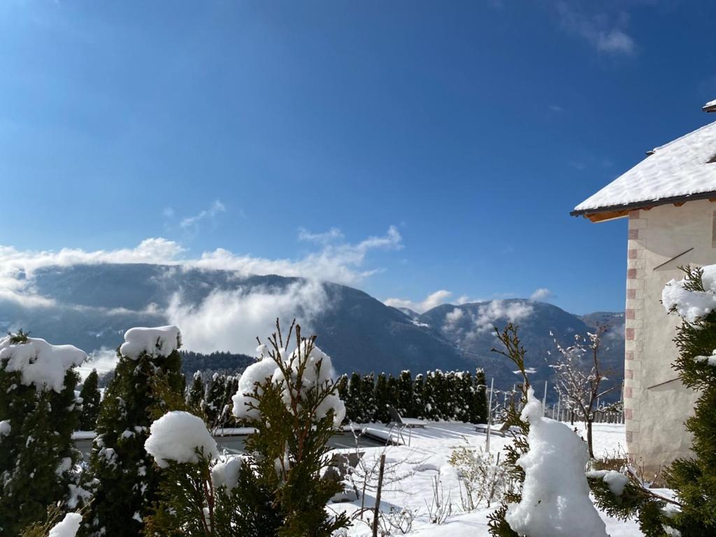 Superior Chalet