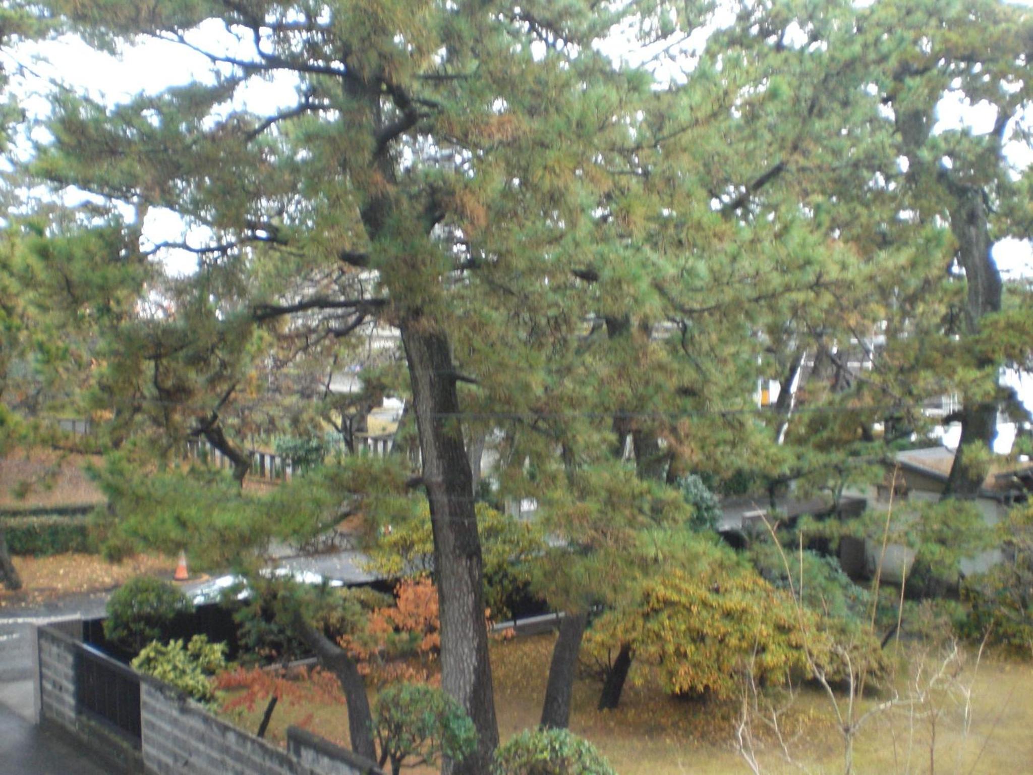 Vacation Home - Photo 21