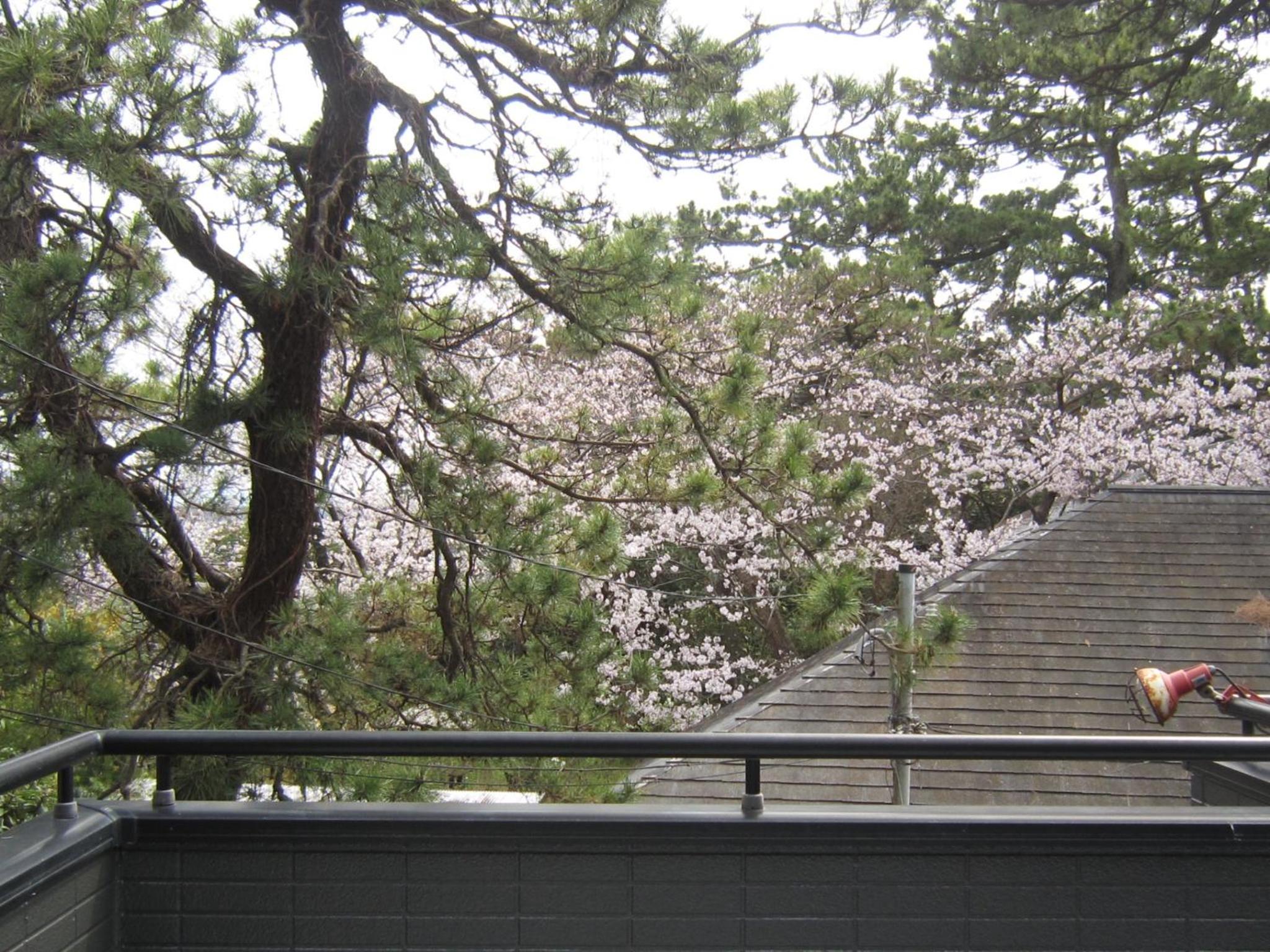 Vacation Home - Photo 13