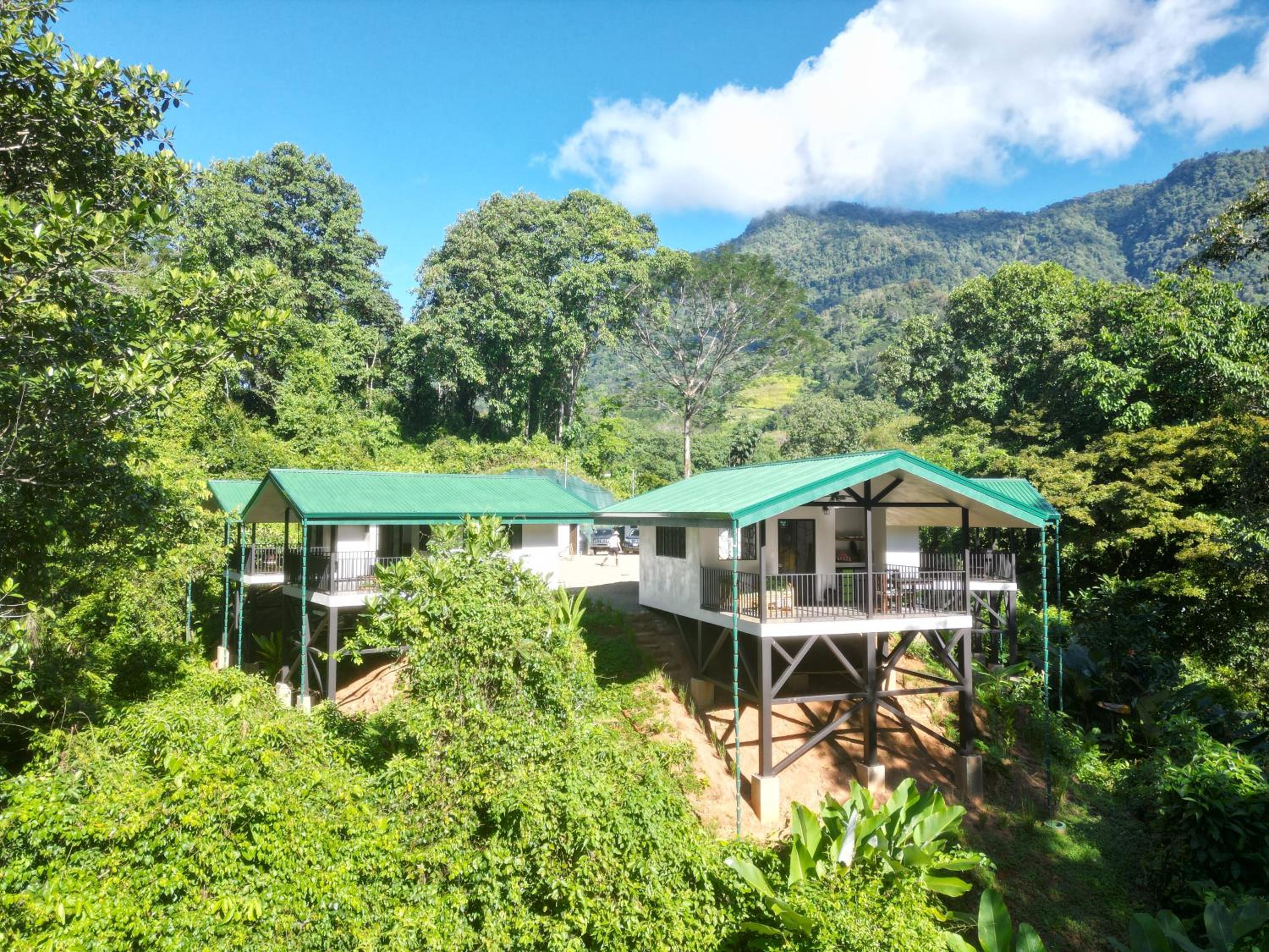 Bungalow photo 3