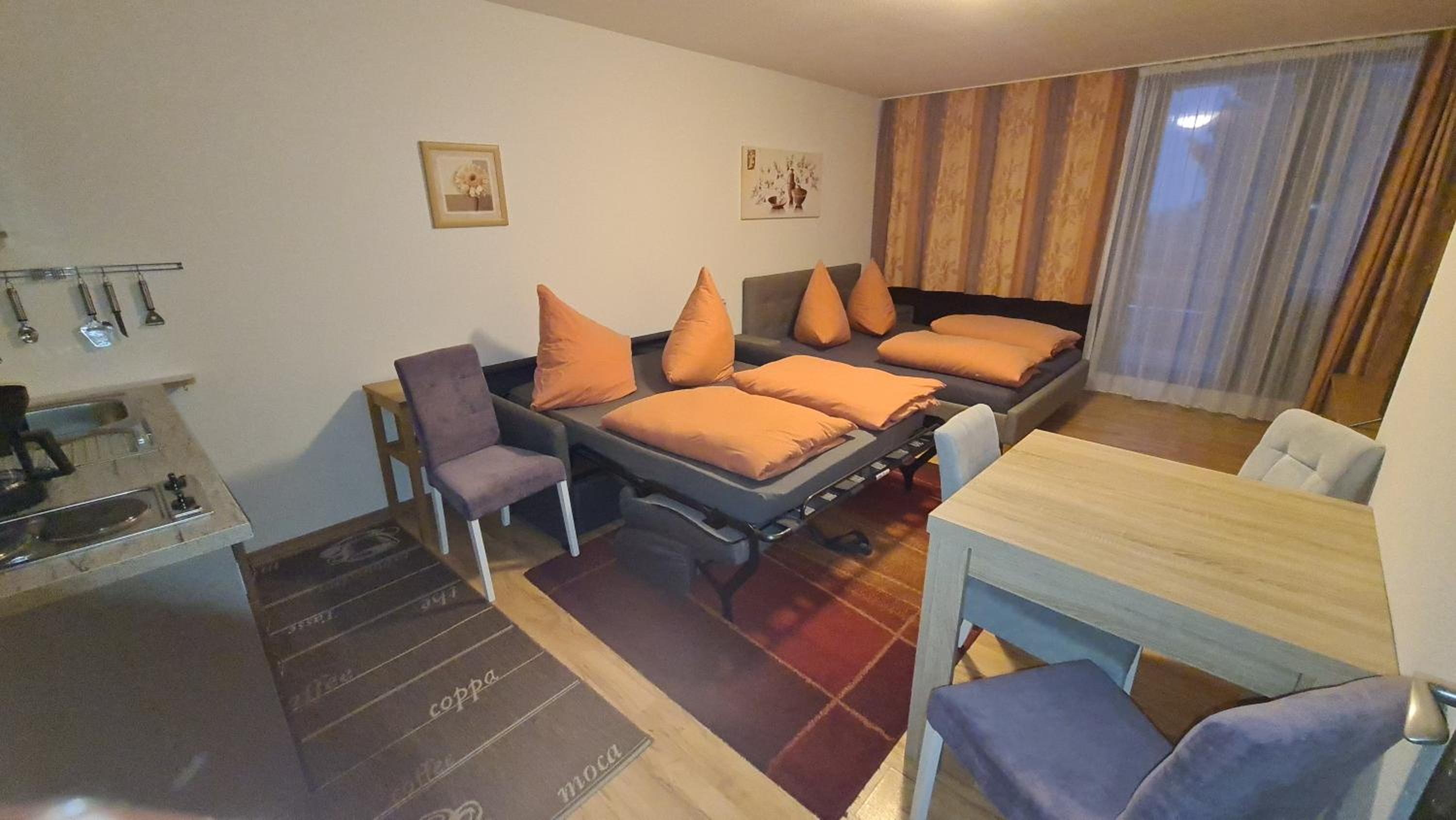 One-Bedroom Apartment photo 3