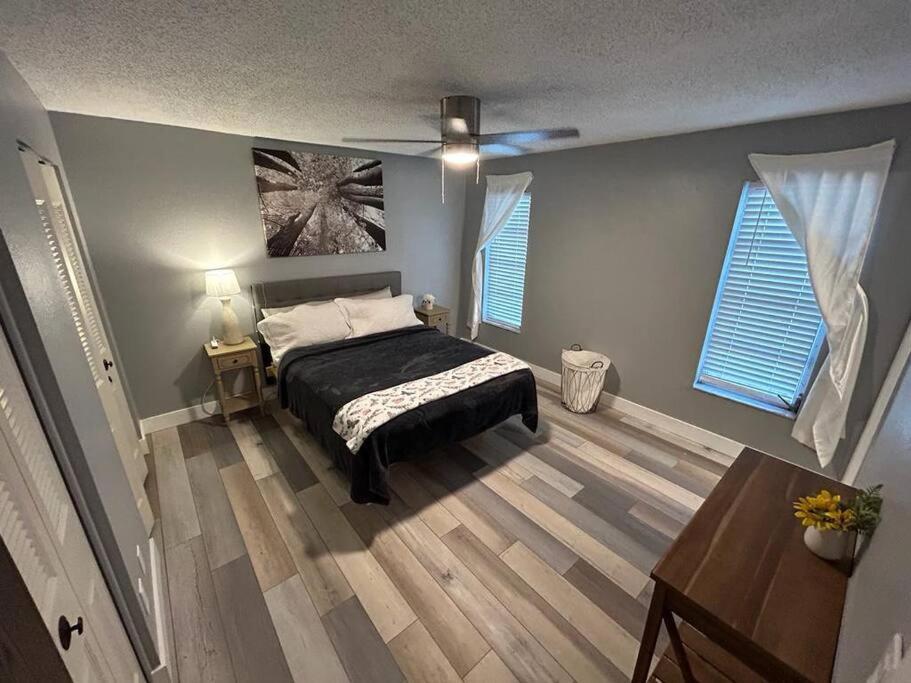 One-Bedroom House photo 2