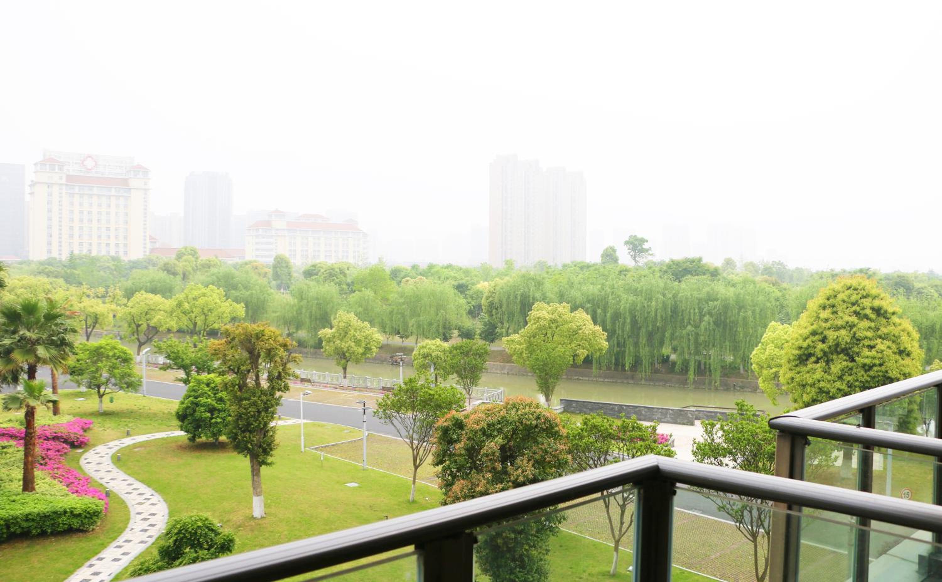Deluxe King Room with Balcony photo 2