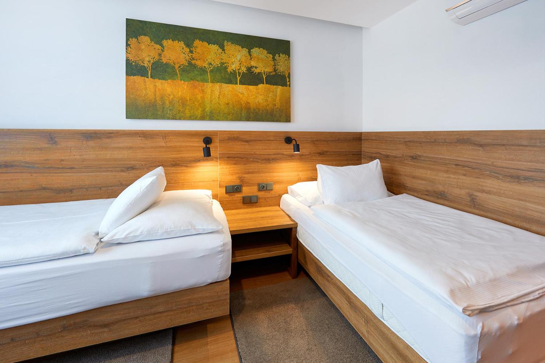Deluxe Twin Room photo 2