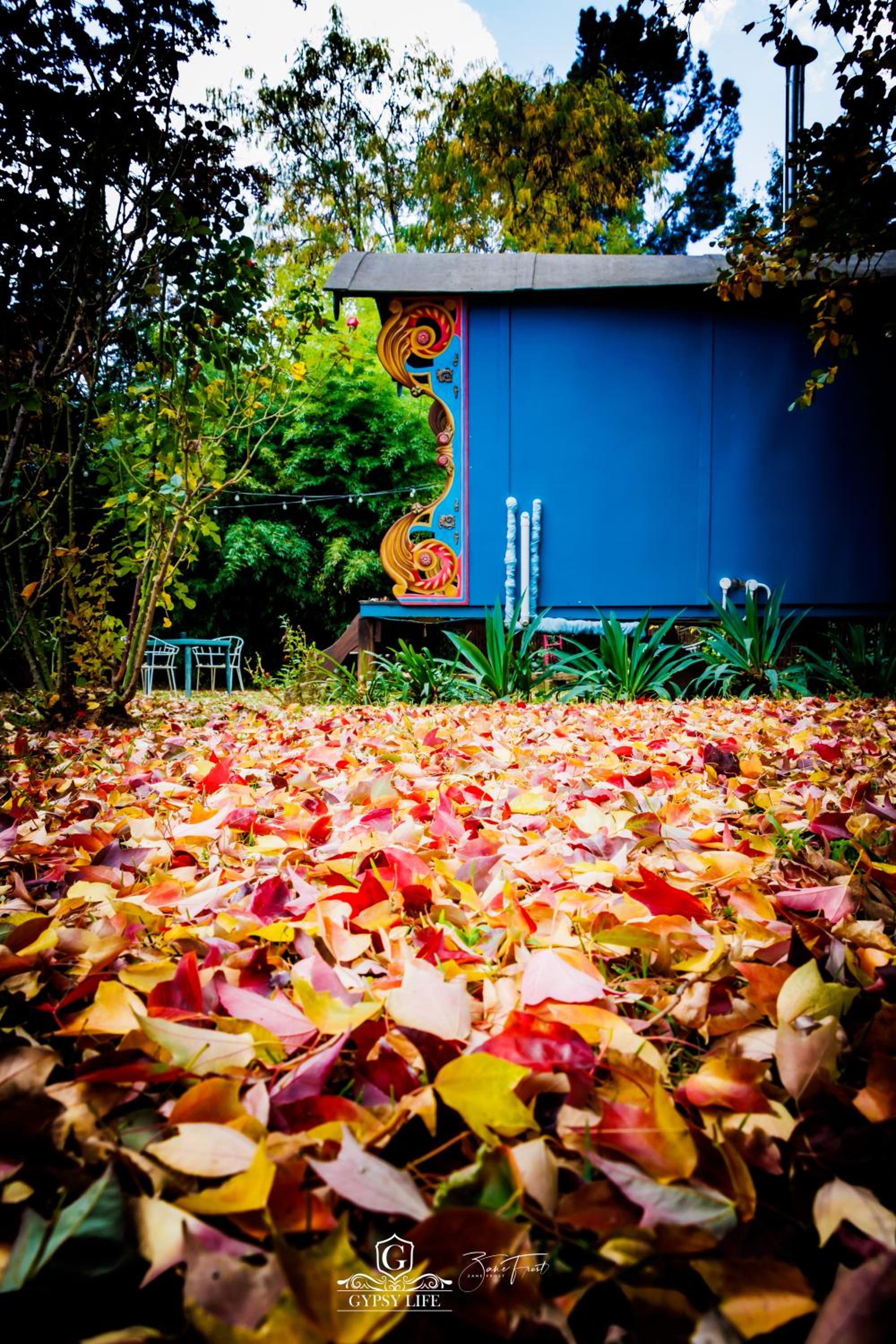 Bungalow - Photo 6