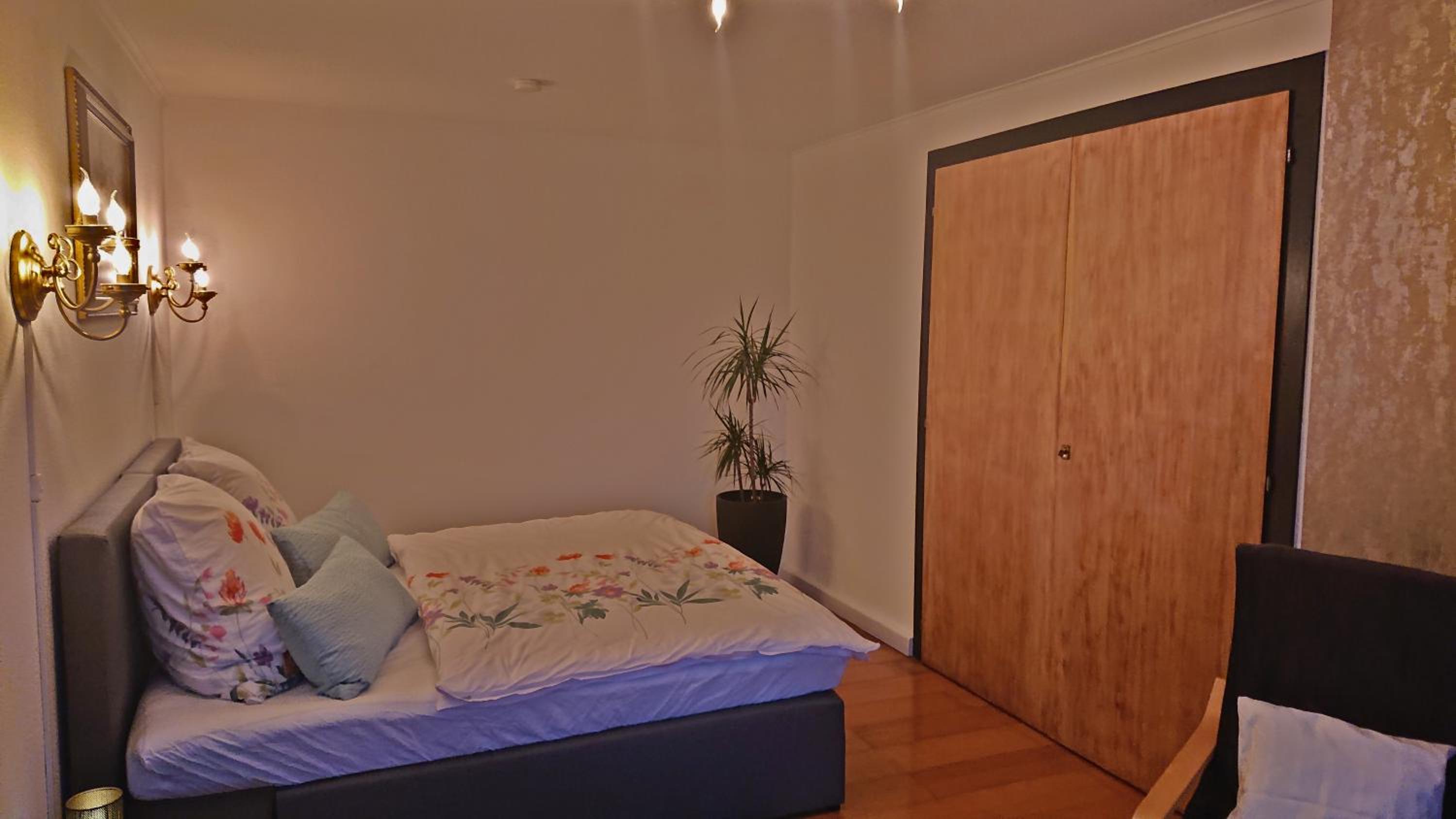 One-Bedroom Apartment photo 3