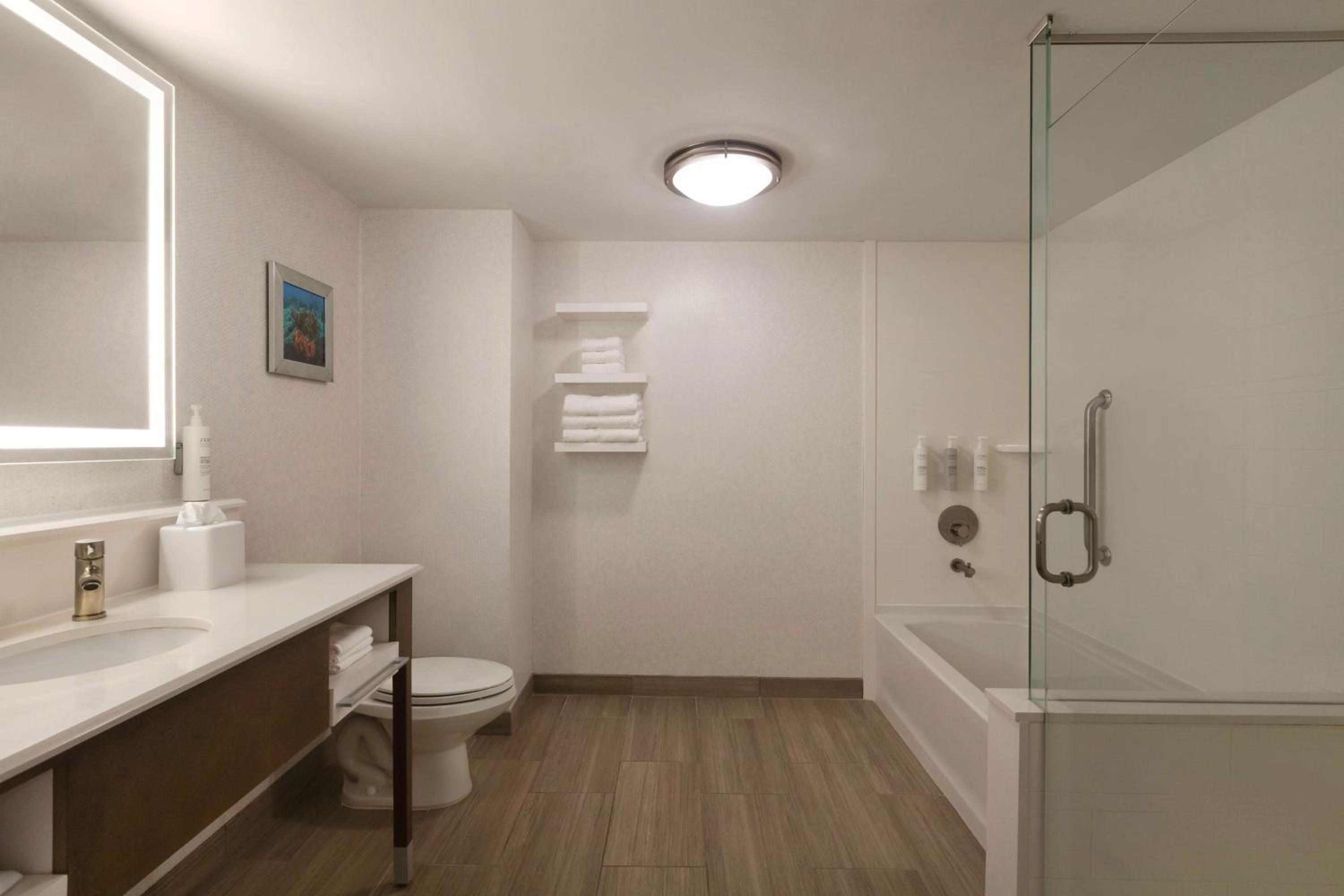 King Room with Roll In Shower - Non-Smoking photo 3