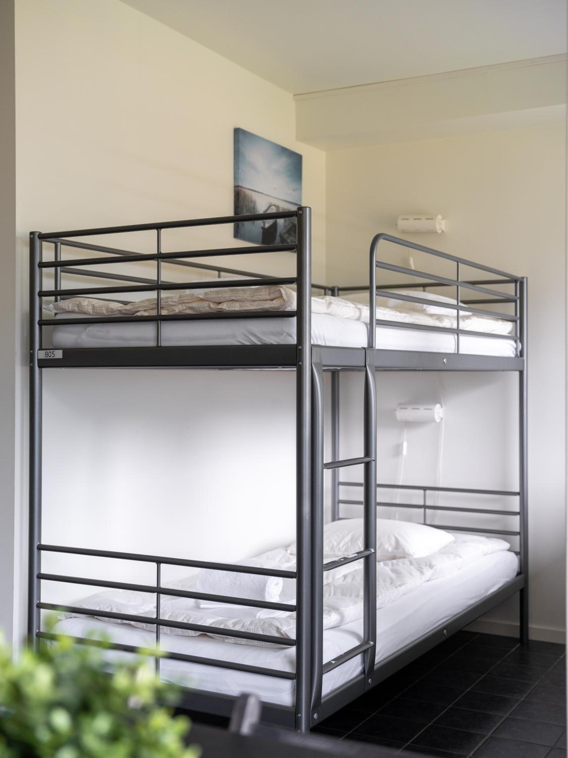 Bed in 8-Bed Mixed Dormitory Room photo 2