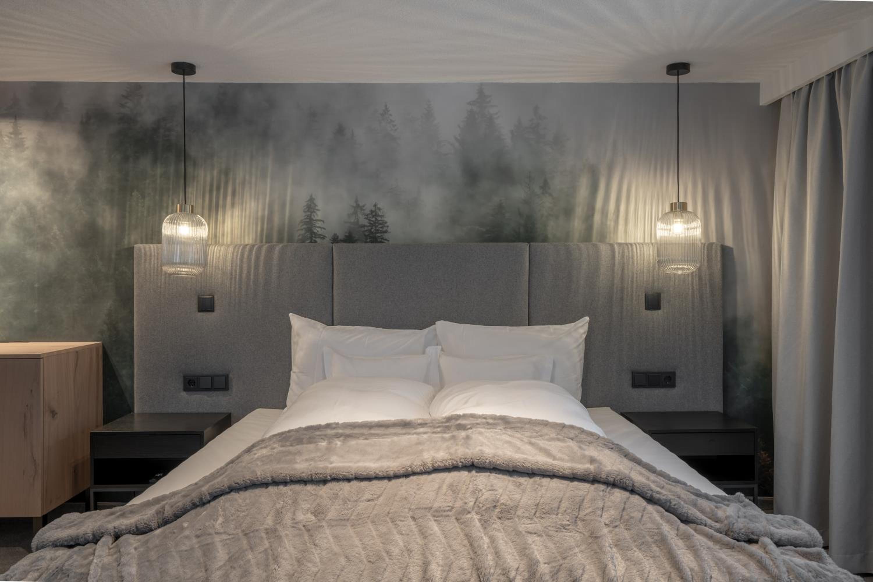Double Room with Mountain View photo 2