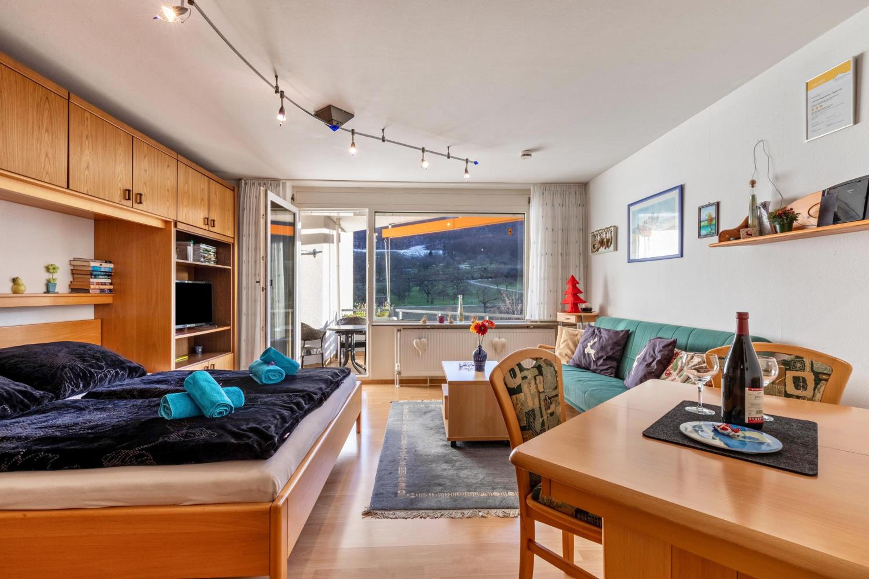 Studio with Mountain View photo 1