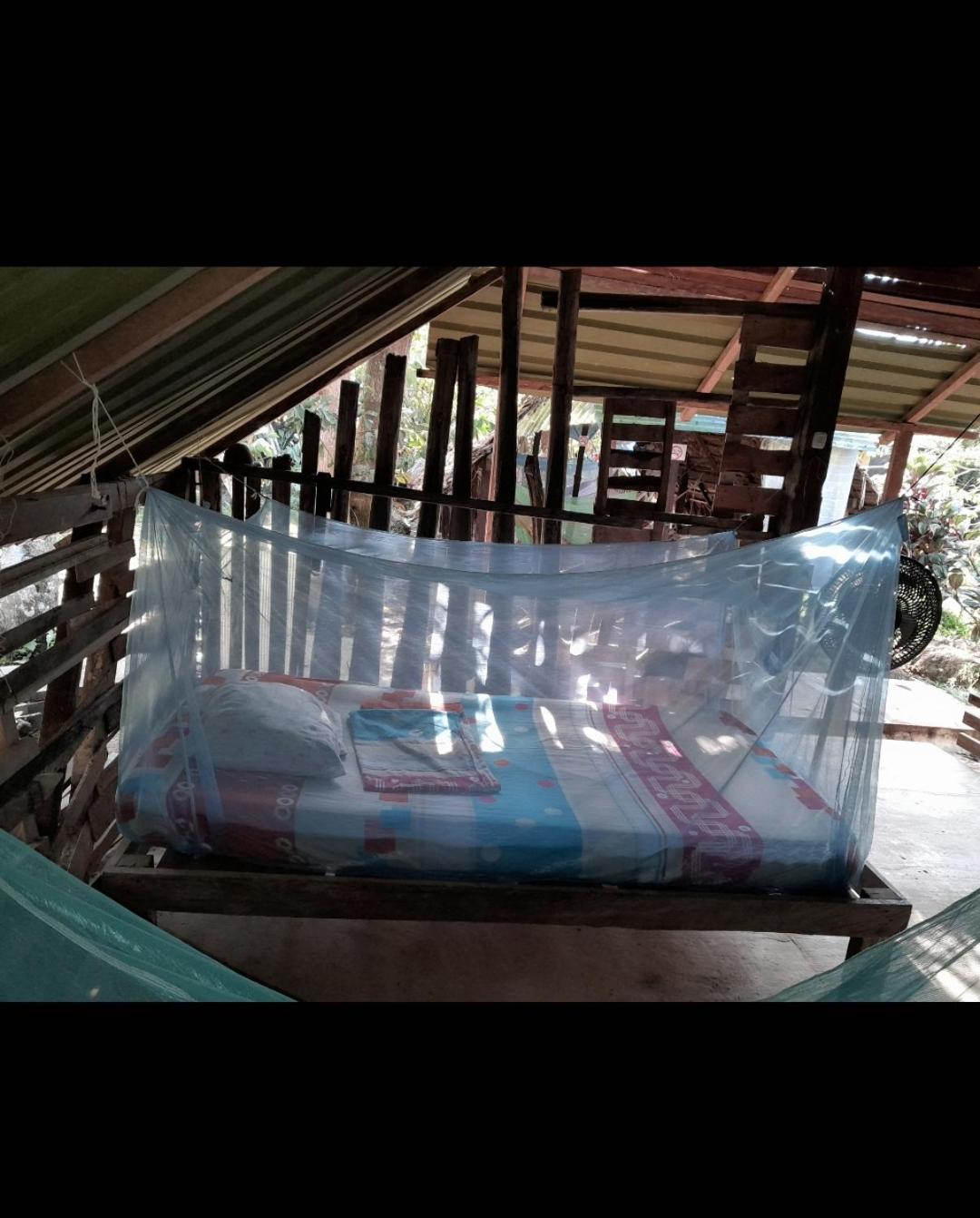 Bed in 4-Bed Dormitory Room photo 2