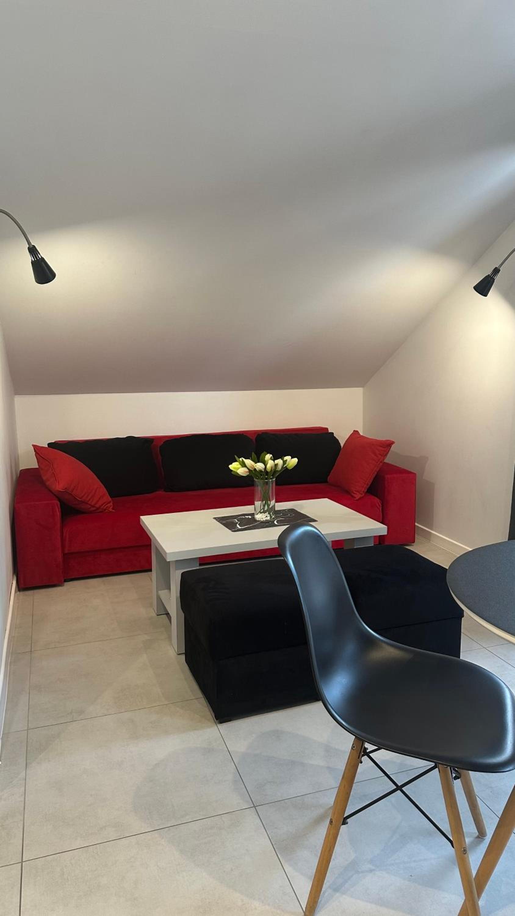 Studio Apartment - Photo 3