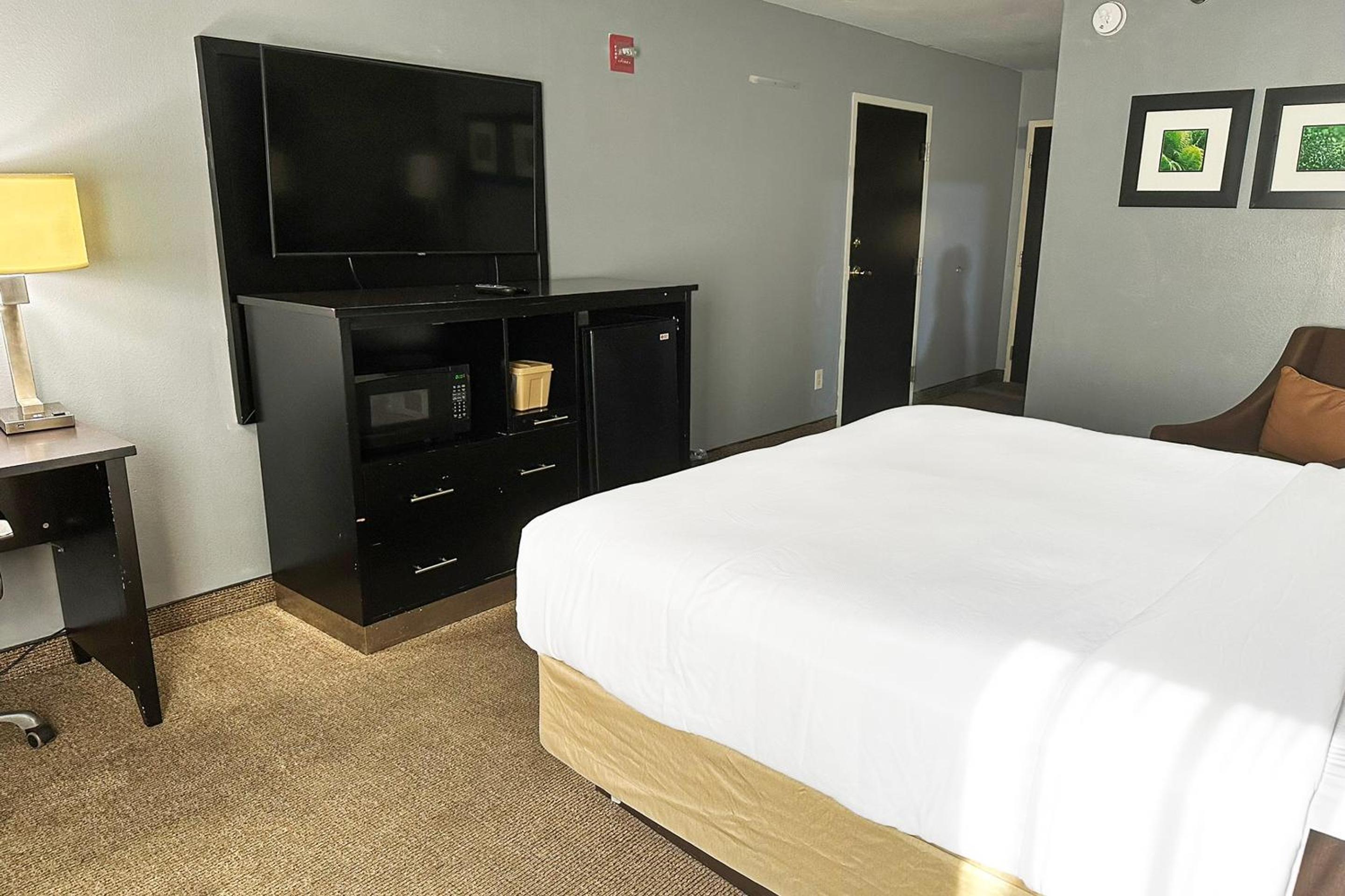 King Bed Accessible - Photo 2