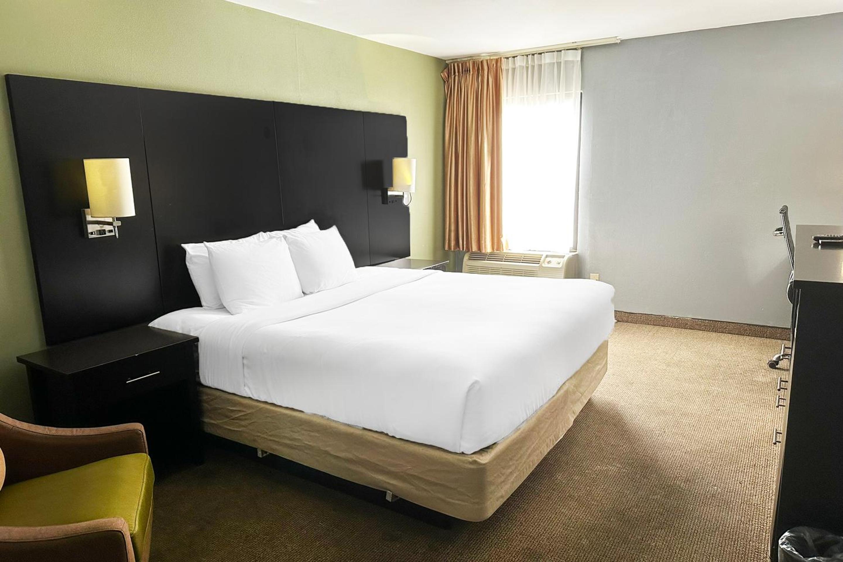 King Bed Accessible - Photo 1