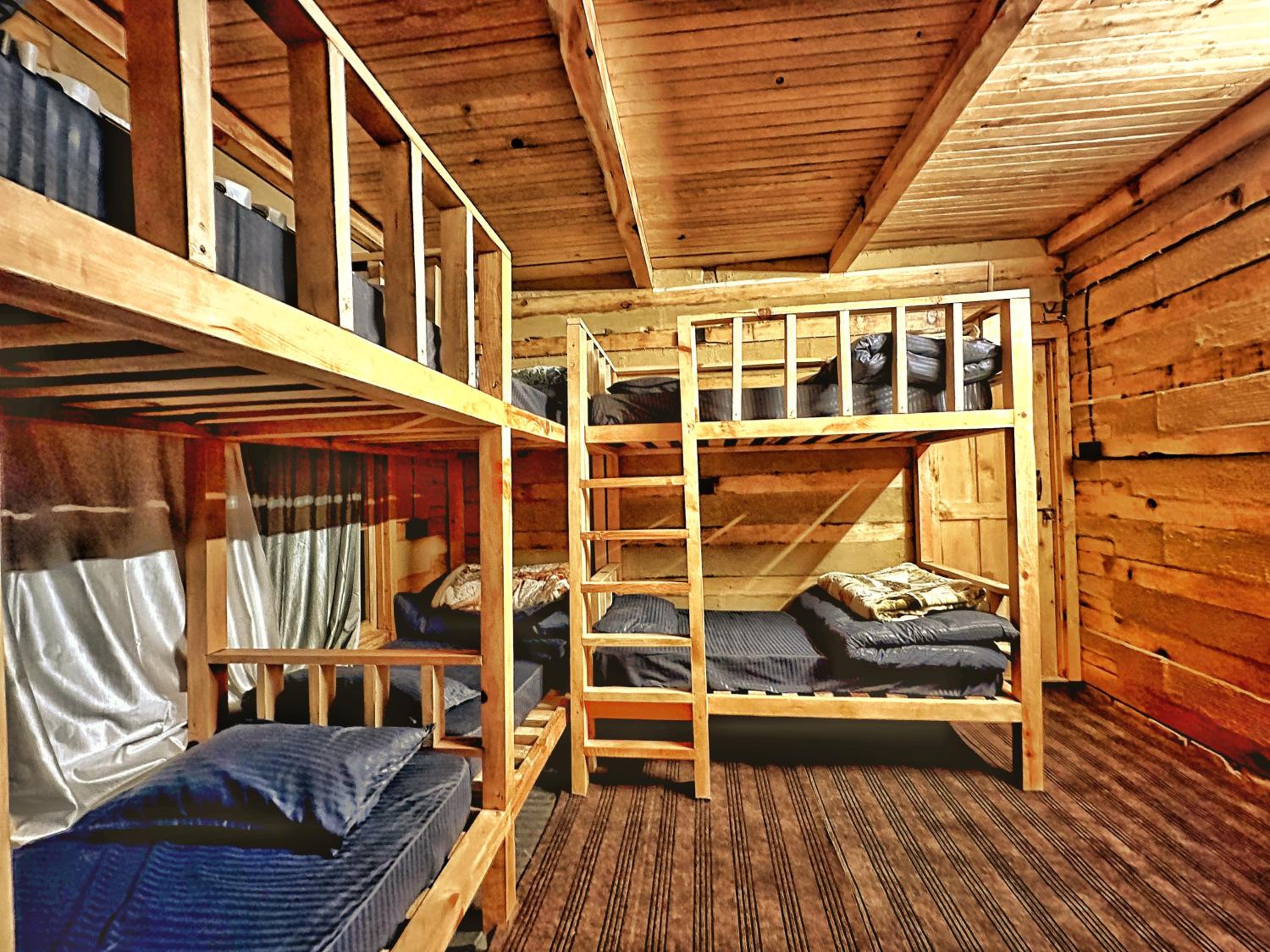 Bunk Bed in Mixed Dormitory Room