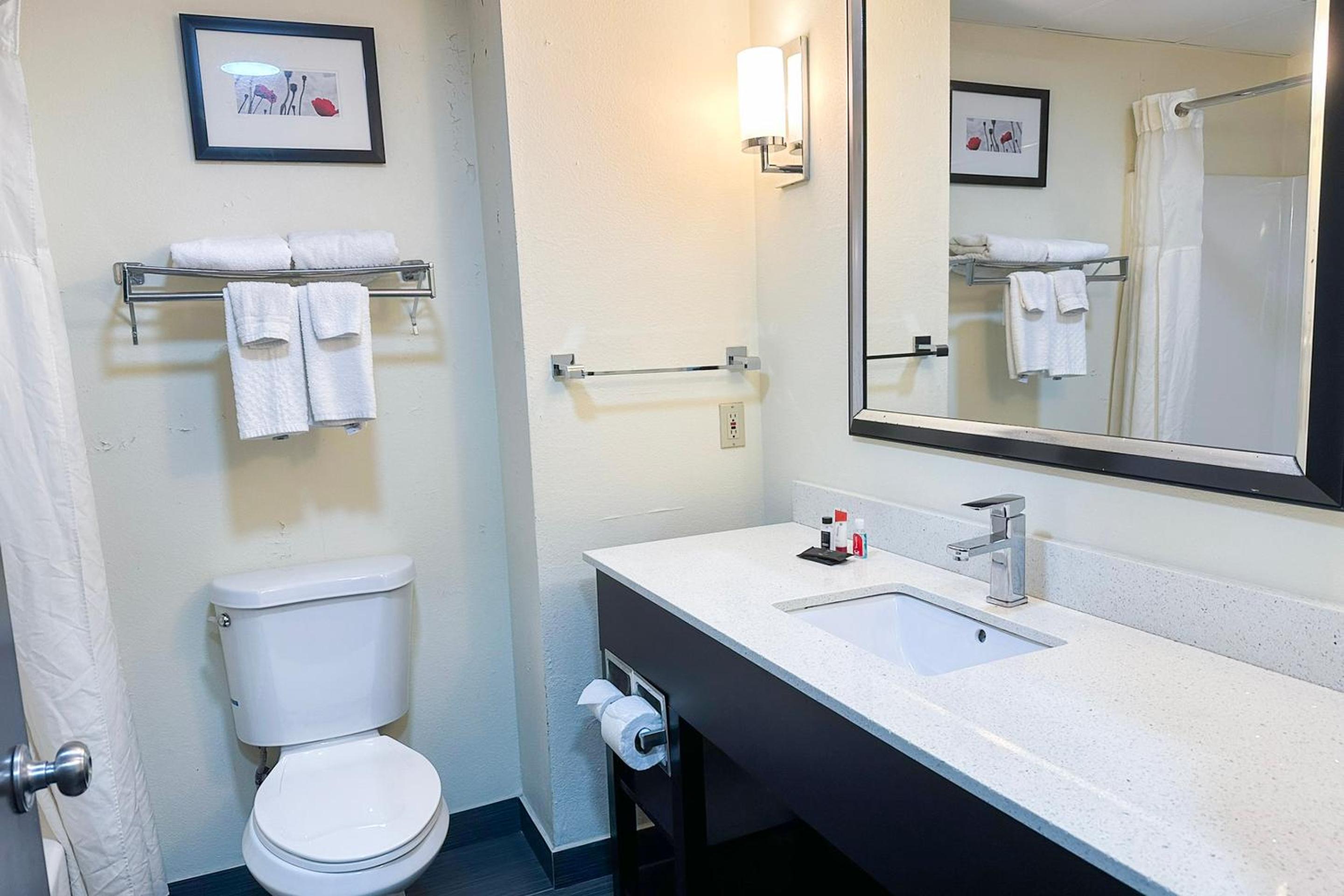 1 Bedroom Suite with Jetted Tub - Photo 2