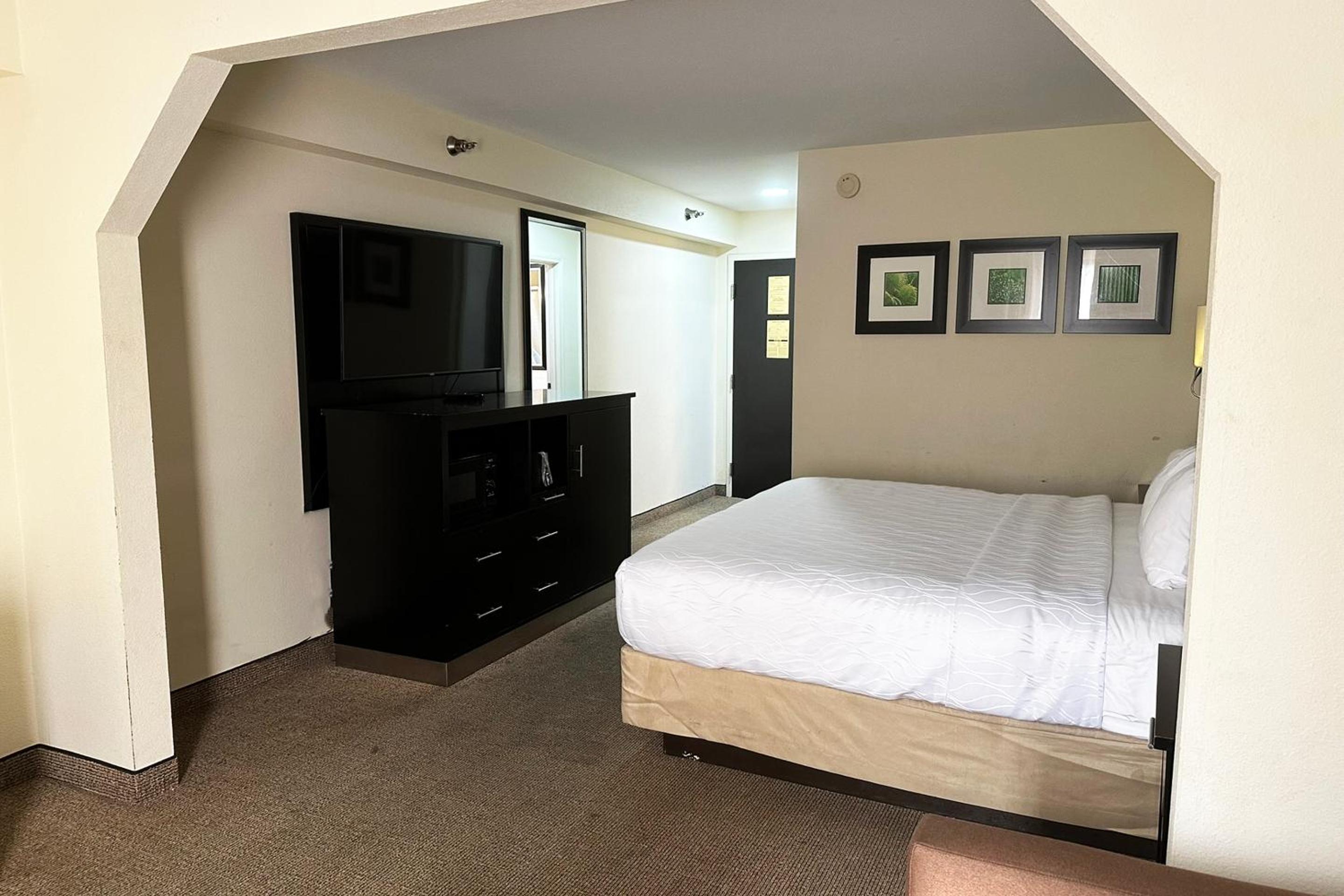 Suite - King Bed - Photo 6