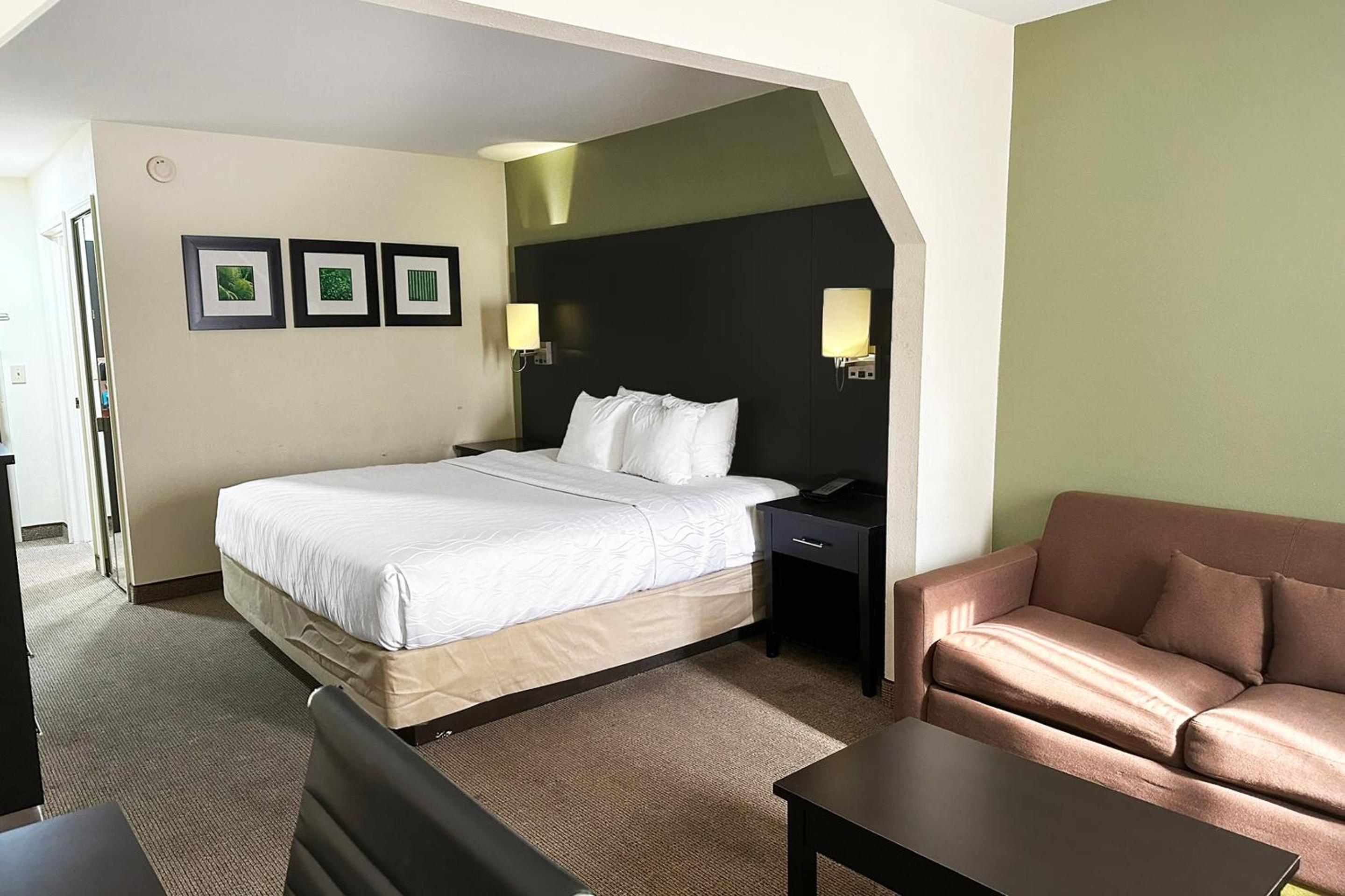 Suite - King Bed - Photo 1