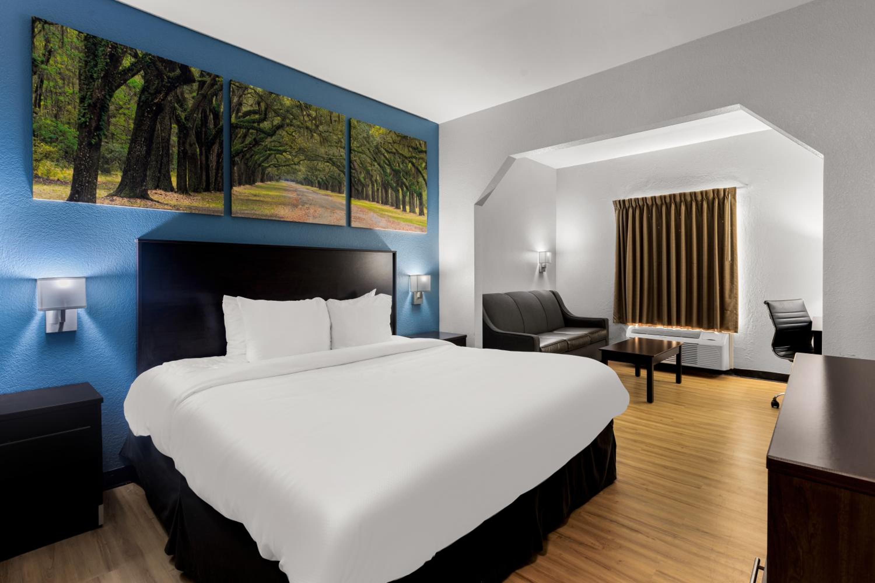 One Room Suite with Sofa bed/Roll-In Shower - Disability Access/Non Smoking