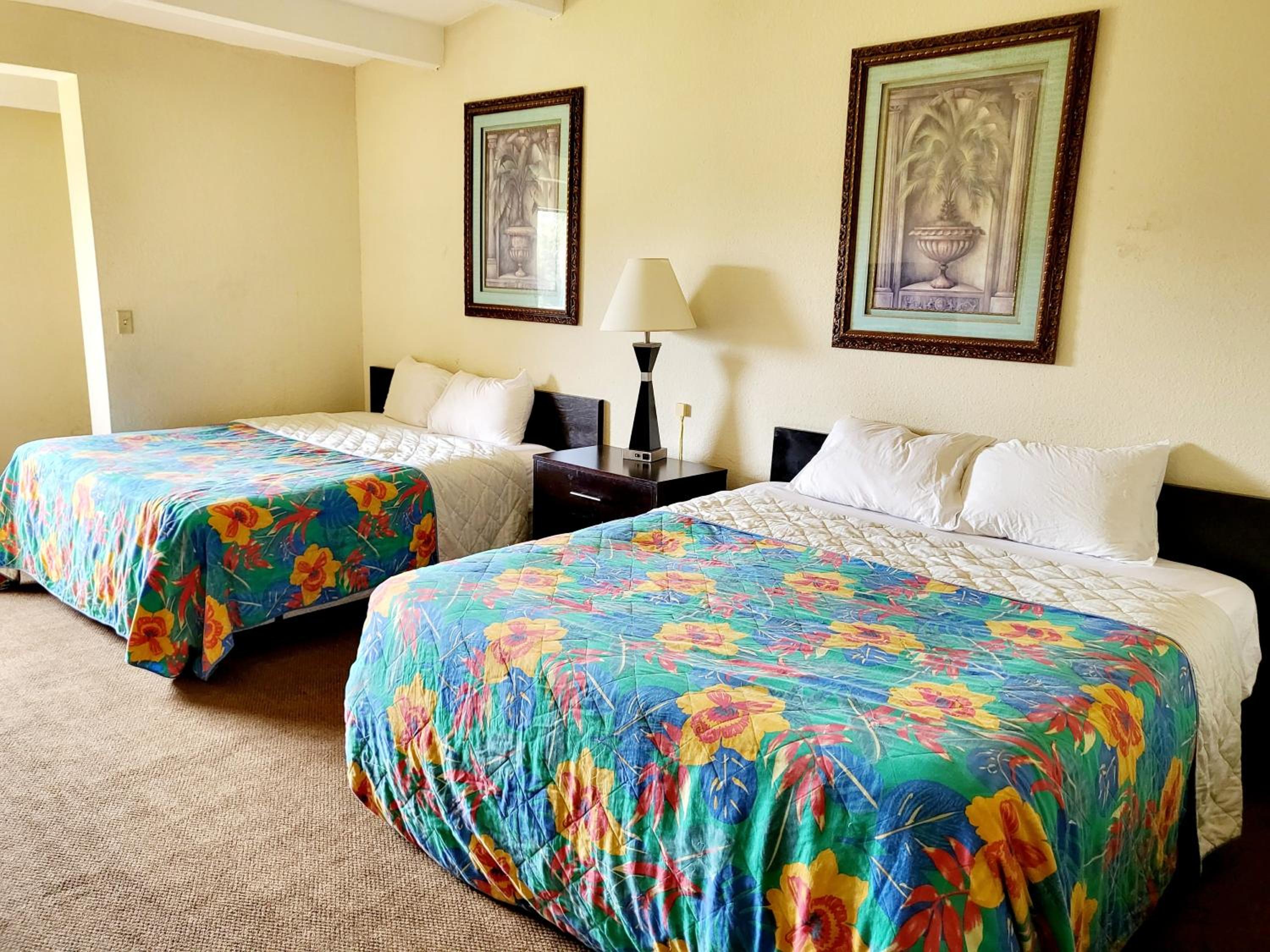 Deluxe Double or Twin Room - Photo 3