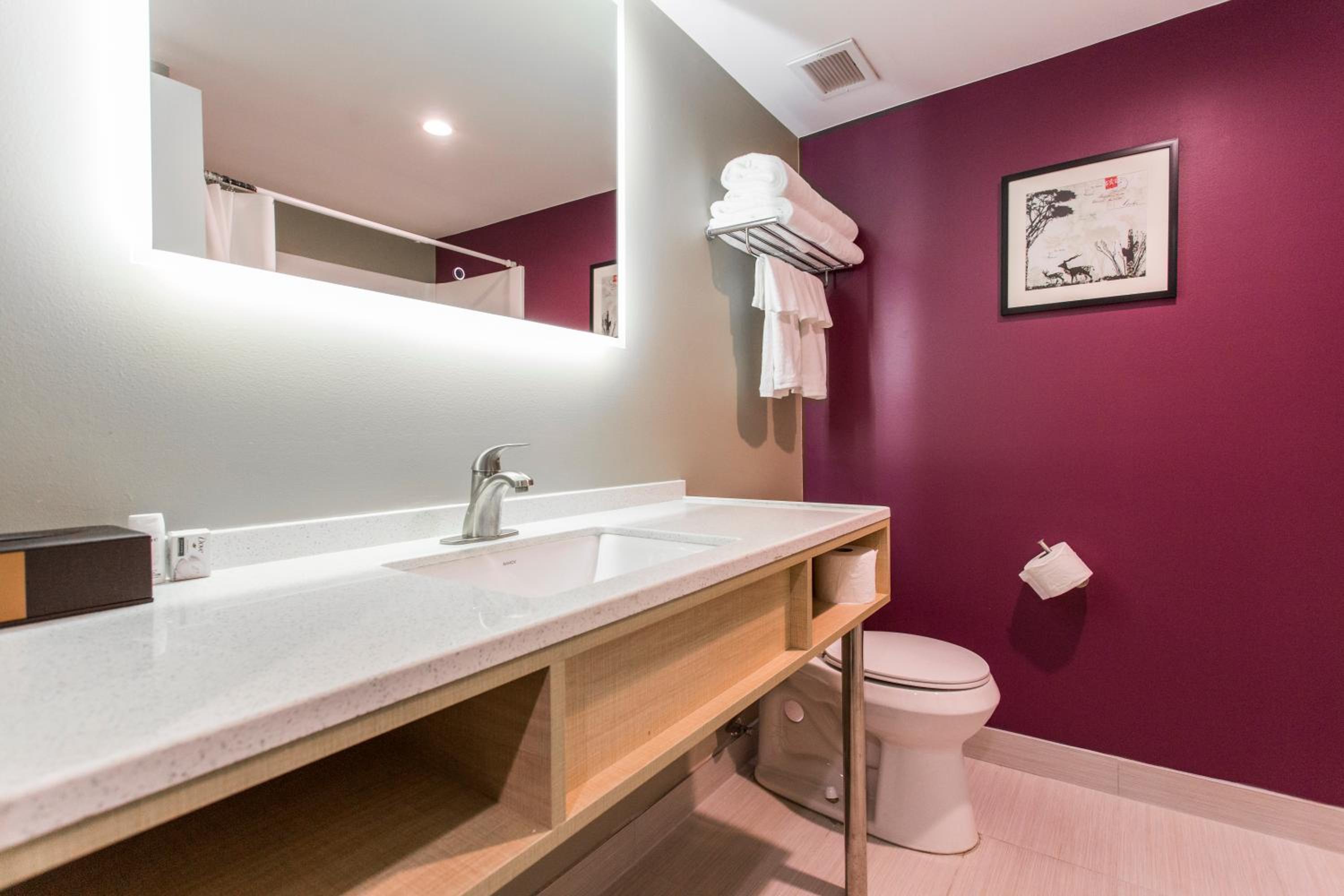 King Room - Photo 5