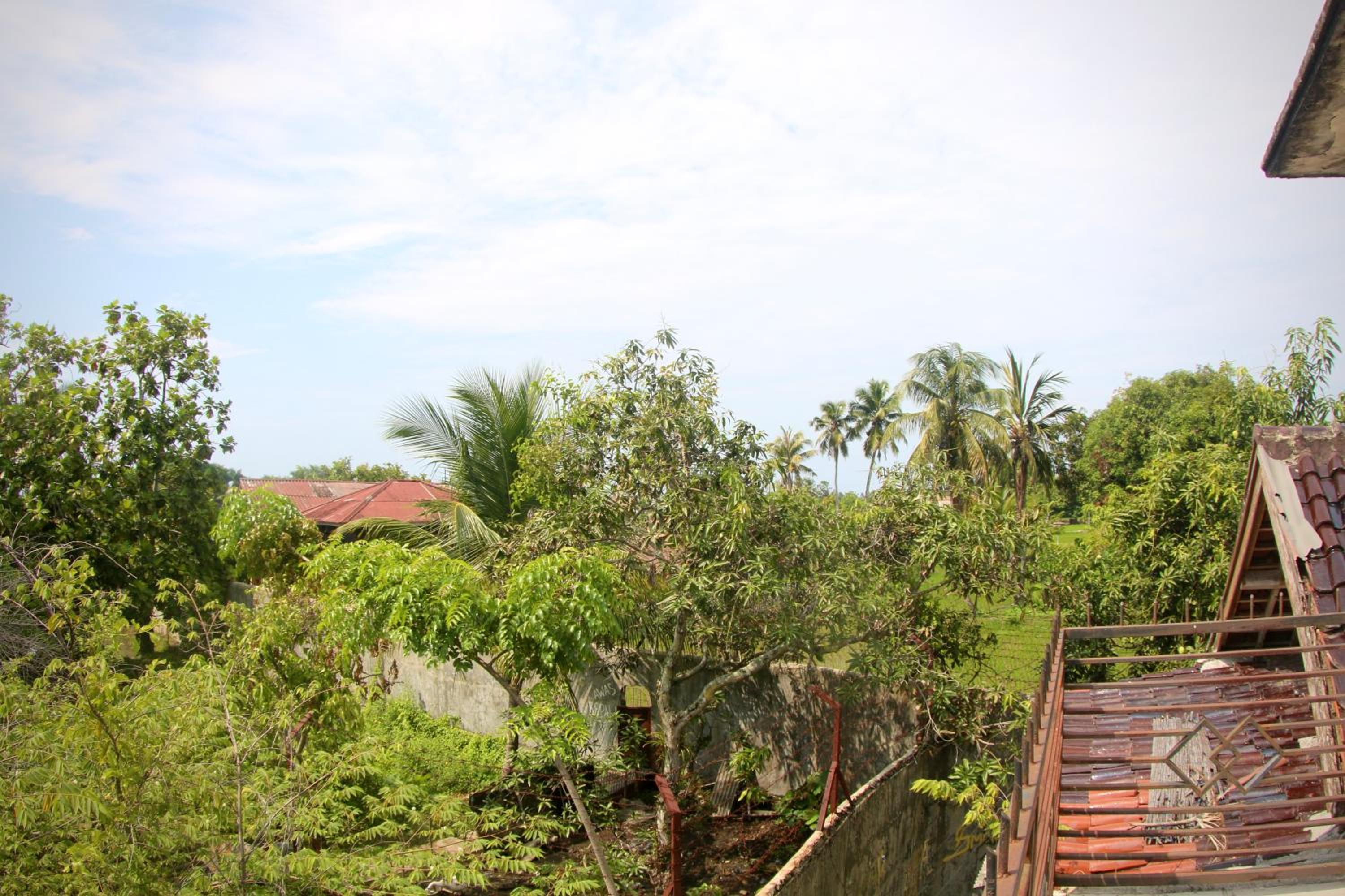 Double Room With Garden View photo 3