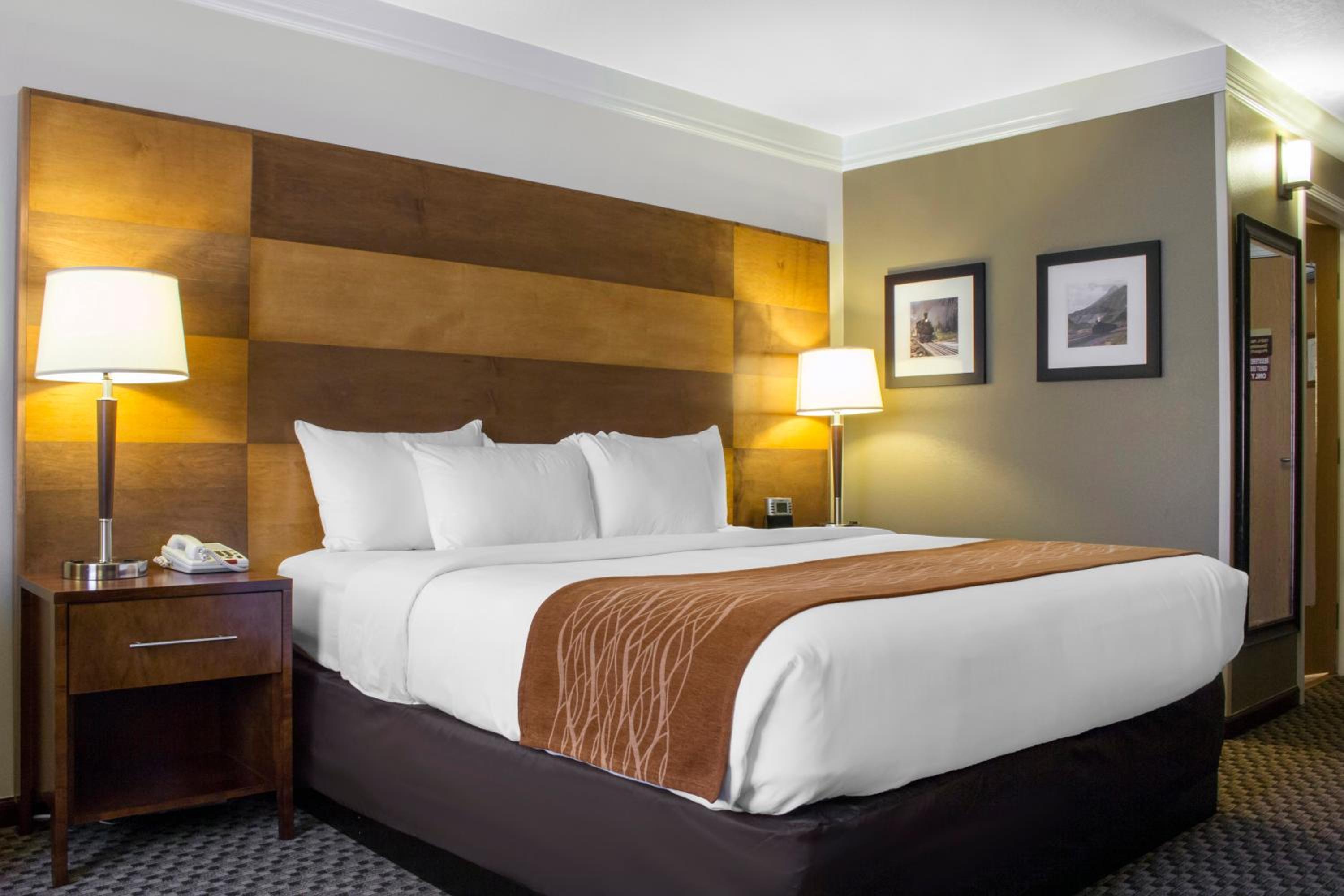 King Room with Roll-In Shower - Accessible/Non-Smoking photo 3