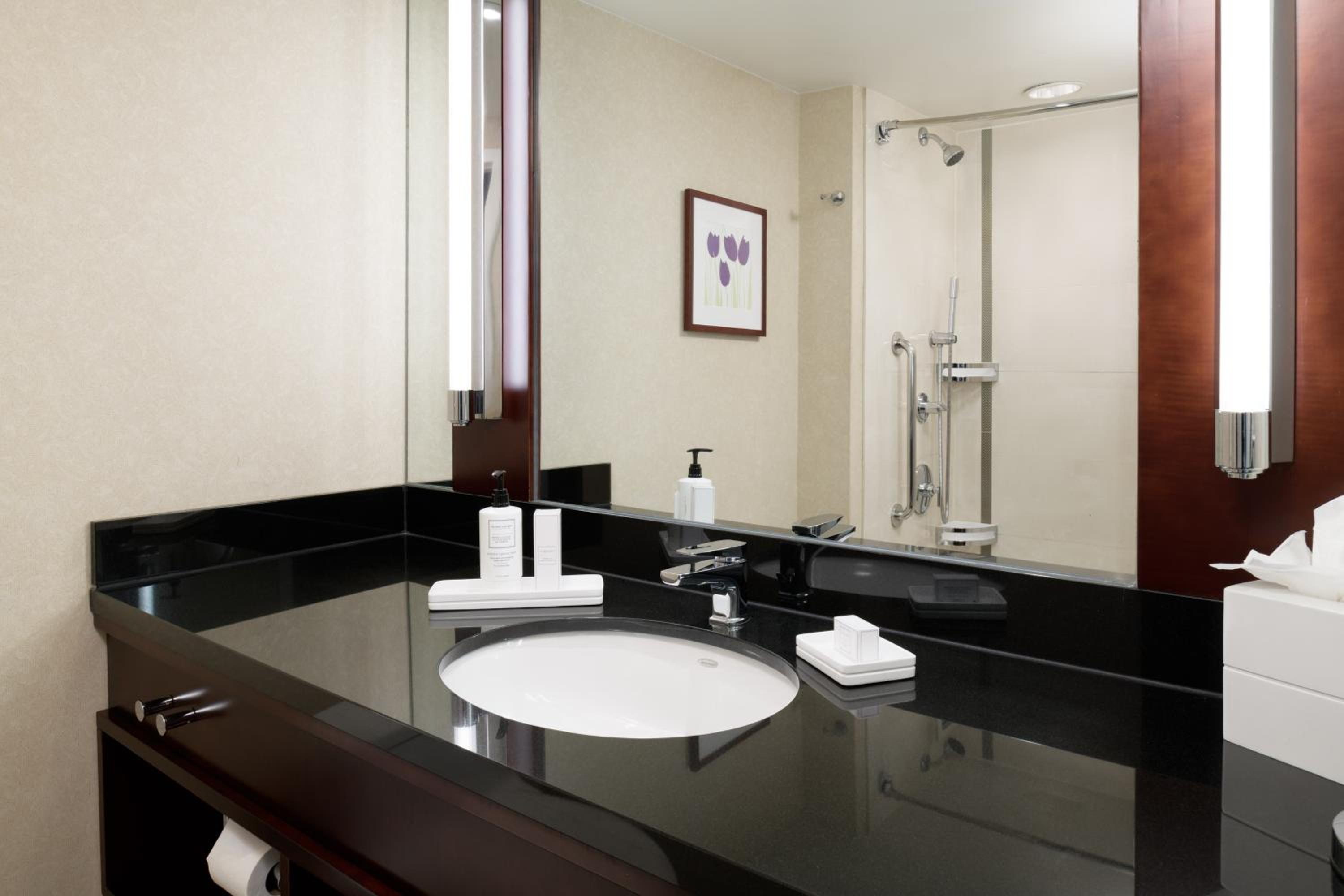 Deluxe King Room with City View - Photo 5