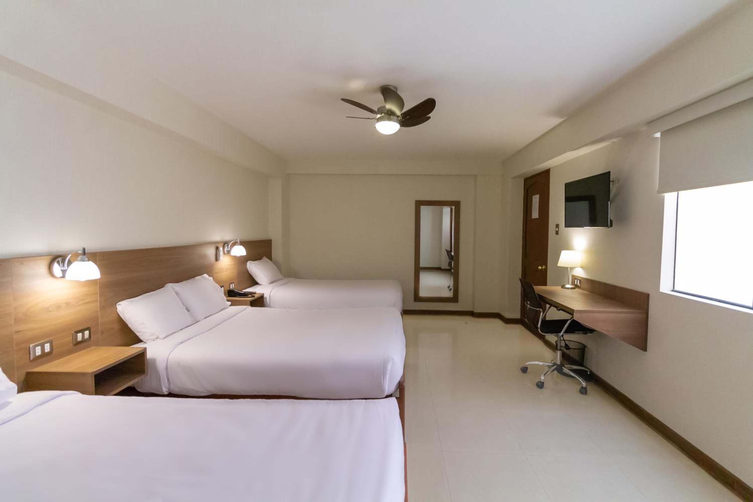 Triple Room photo 1