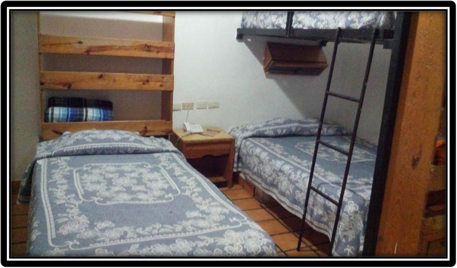 Large Double Room photo 2