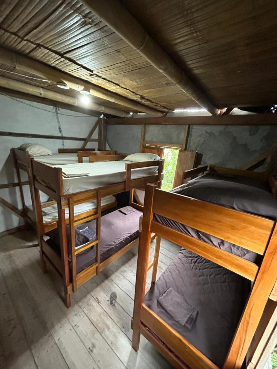 Bed in 6-Bed Mixed Dormitory Room photo 1
