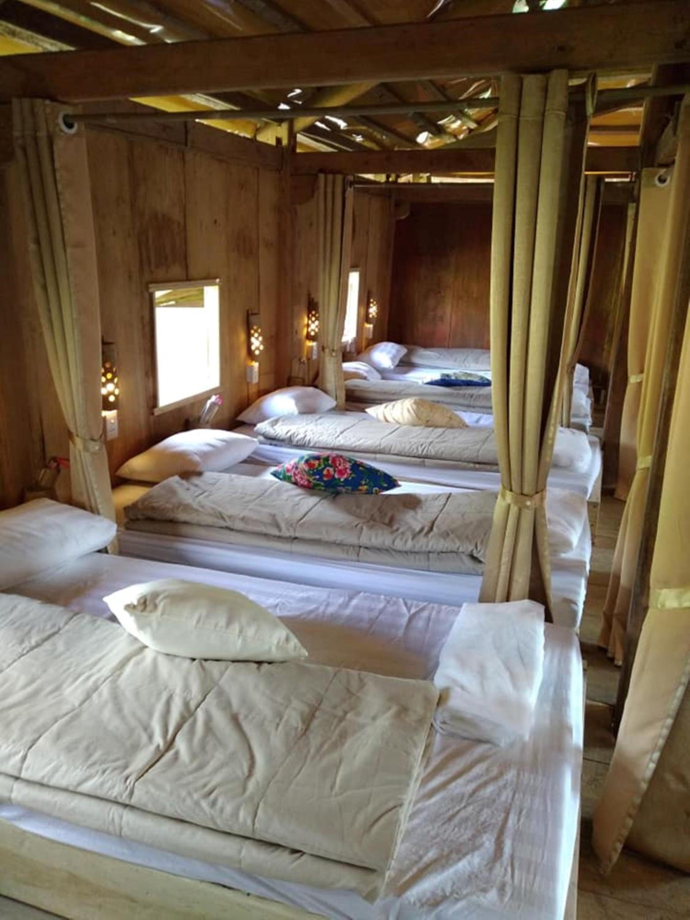 Bunk Bed in Mixed Dormitory Room photo 2