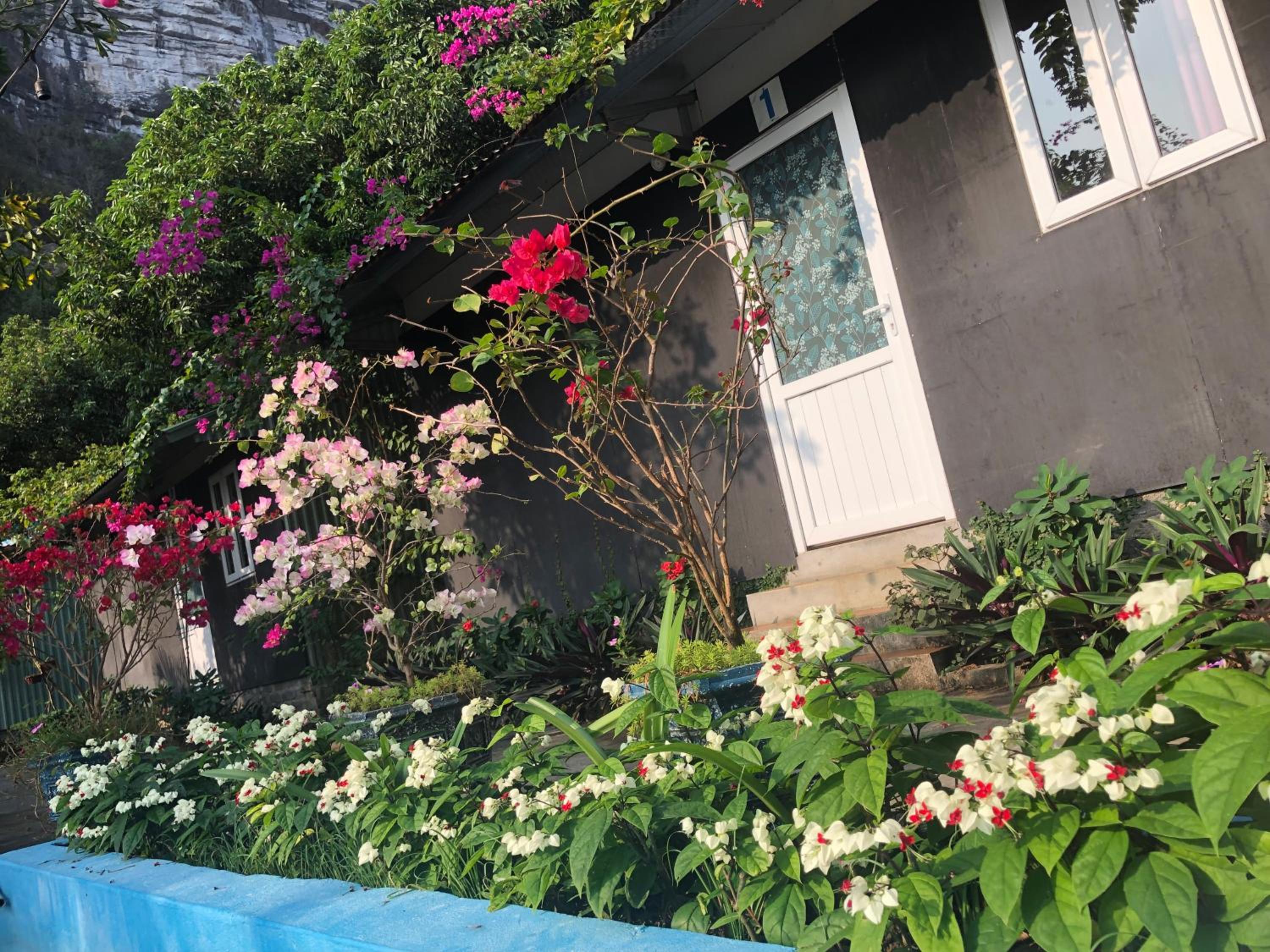 Bungalow - Photo 4