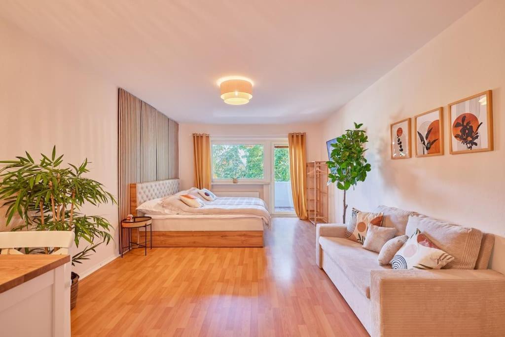 One-Bedroom Apartment photo 2