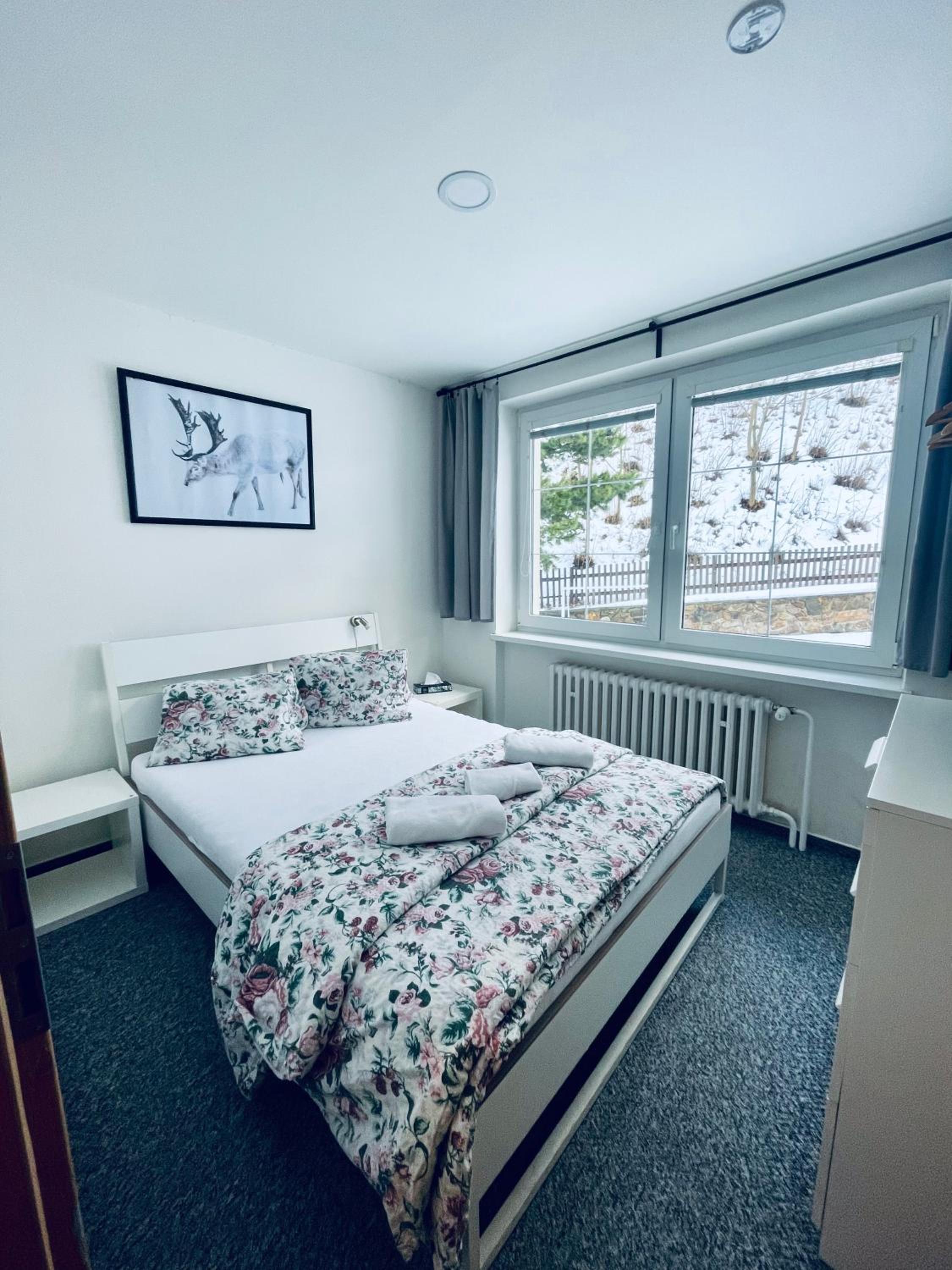 Family Suite photo 1
