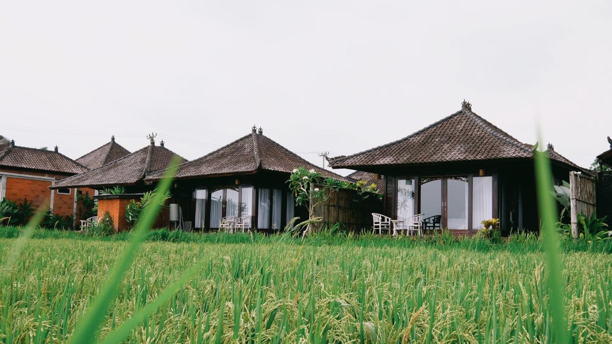 One Bedroom Villa with Garden View - Photo 2