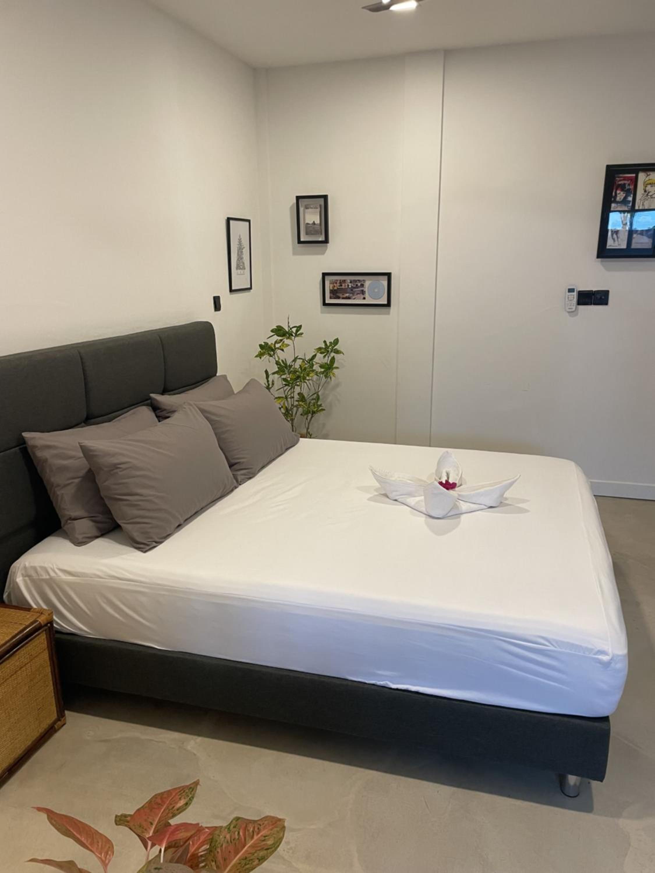 Deluxe King Suite