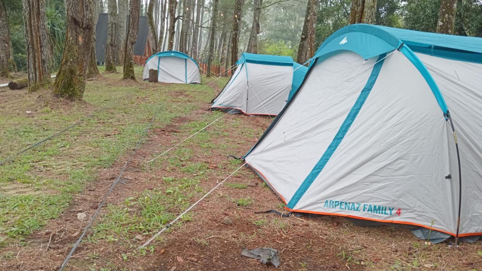 Tent photo 2